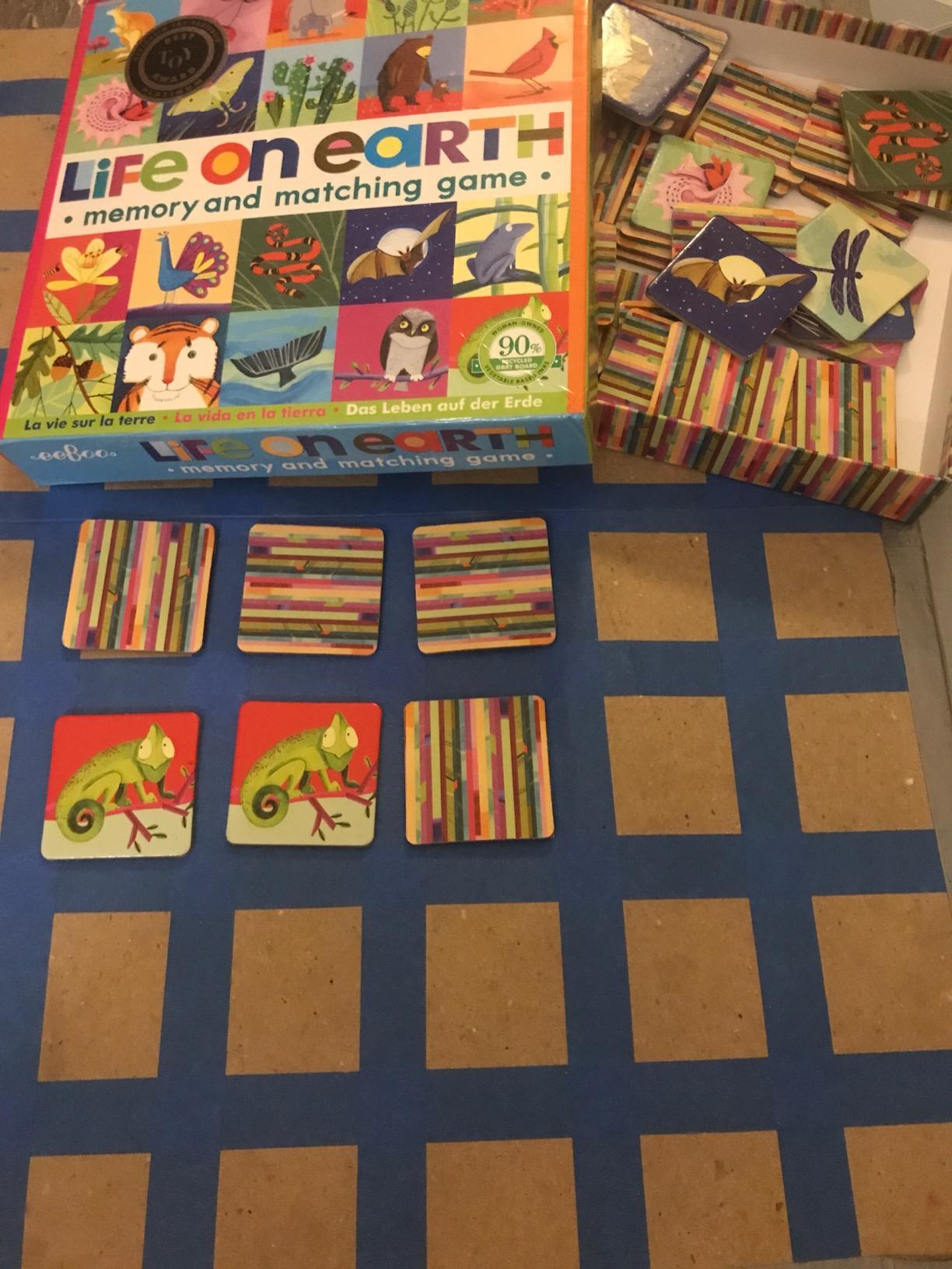 eeBoo Memory and Matching Game - Life on Earth - 24 Pairs - Develops Recognition Concentration Memory and Vocabulary Skills Age 3+ customer photo 1
