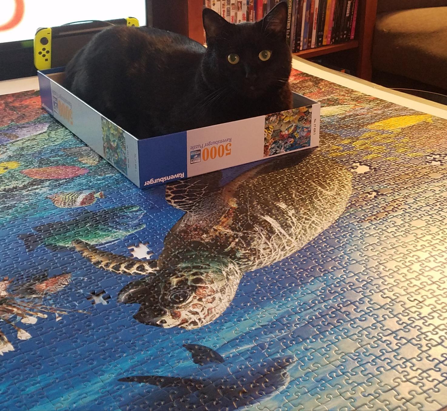 Ravensburger - Beneath The Sea - 5000 Piece Jigsaw Puzzle - Stunning Imagery - Beautiful and Intricate - Underwater Turtles, Dolphins, and More - Premium Quality - Puzzles for Adults customer photo 1