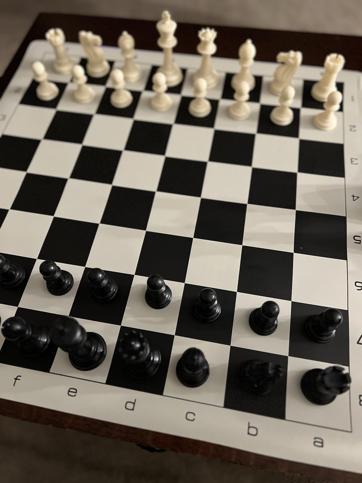 WE Games Best Value Tournament Chess Set - Includes 34 Chess Pieces, Roll Up Vinyl Chess Board, Chess Pieces, Chess Bag and Equalizer Dice customer photo 2