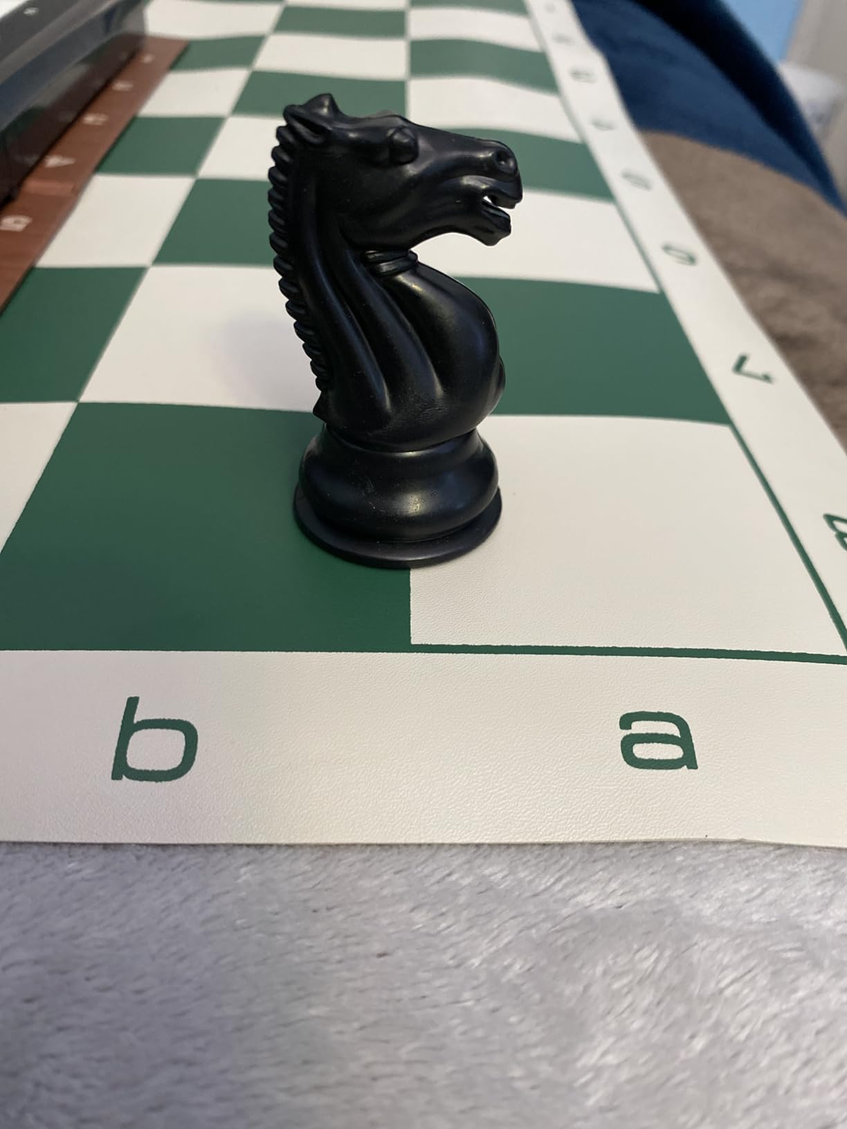 WE Games Chess Set - Tournament Style with 34 Pieces, Vinyl Roll-Up Board, Storage Bag & Equalizer Dice customer photo 2