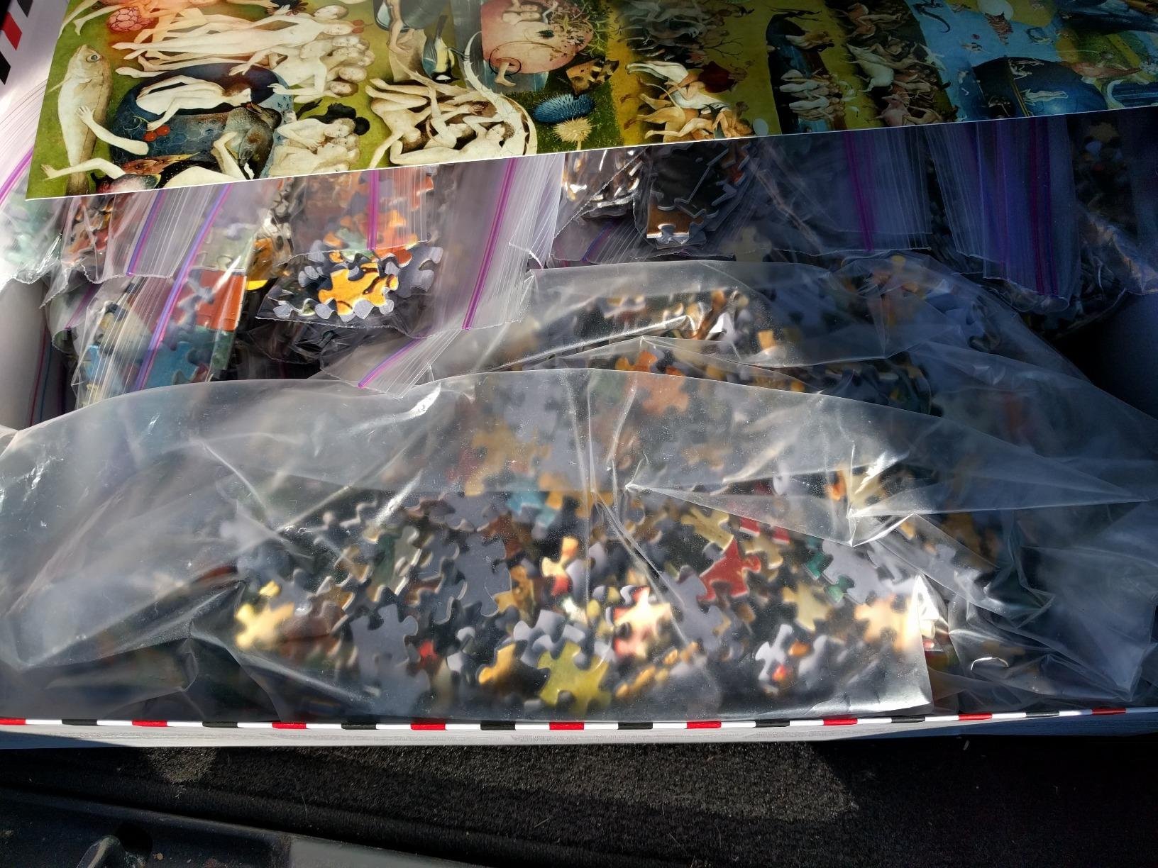 Educa 9,000 Piece Puzzle - The Garden of Earthly Delights customer photo 1