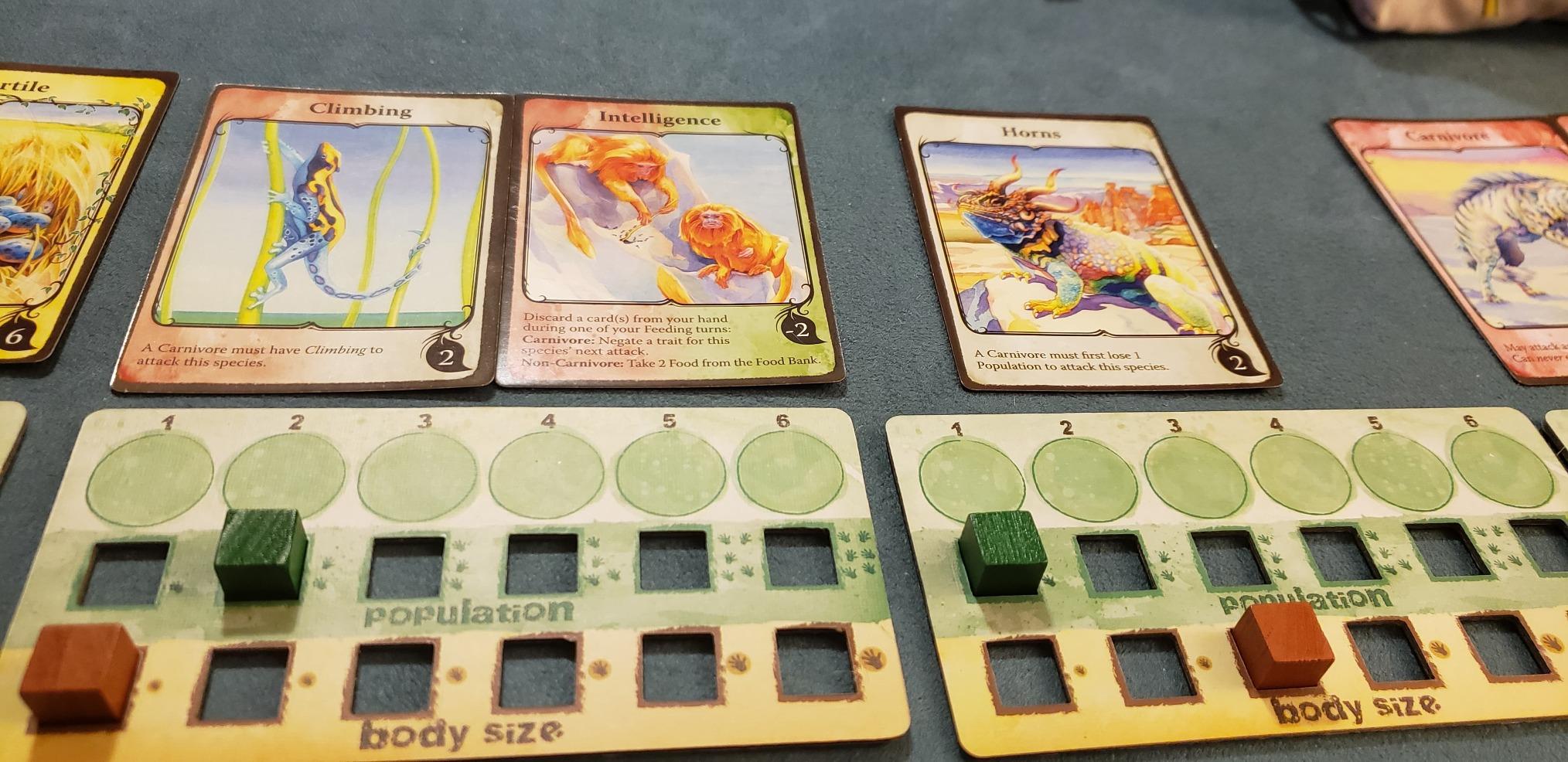Northstar Game Studio Evolution Board Game | Create Species in This Strategy Game for Adults, Teens and Families | 2-6 Players, Age 12+ customer photo 2