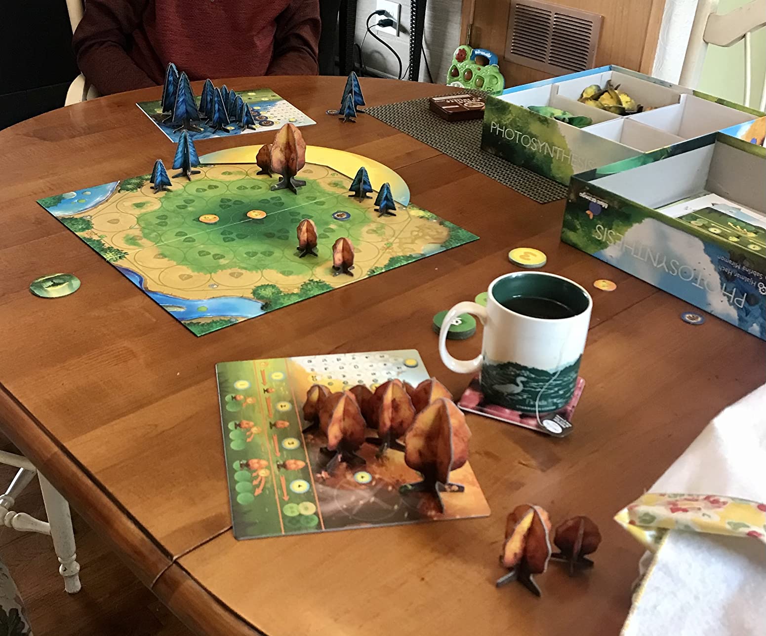 Blue Orange Games Photosynthesis Board Game - Award Winning Family or Adult Strategy Board Game for 2 to 4 Players. Recommended for Ages 8 & Up. customer photo 1