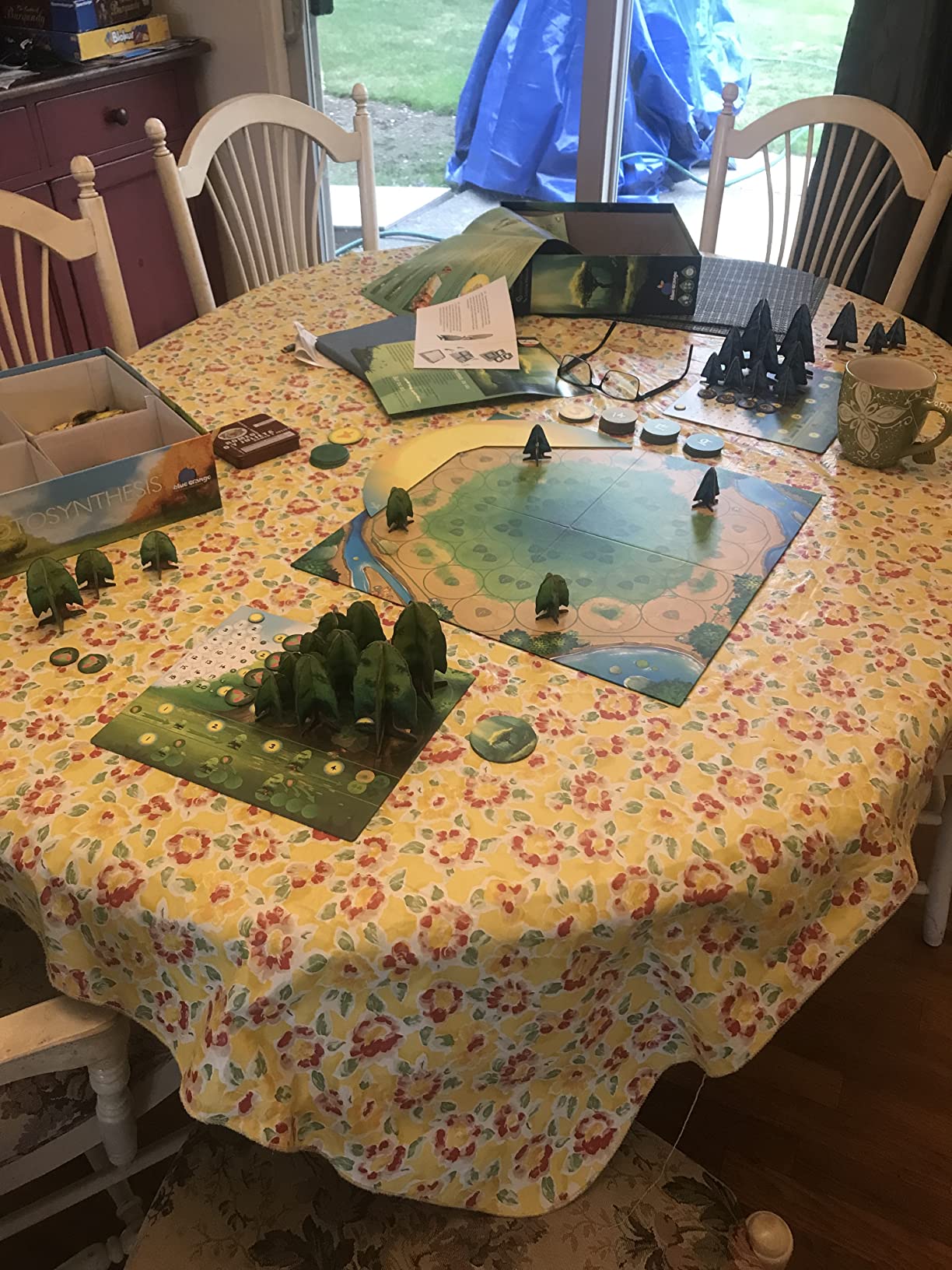 Blue Orange Games Photosynthesis Board Game - Award Winning Family or Adult Strategy Board Game for 2 to 4 Players. Recommended for Ages 8 & Up. customer photo 2