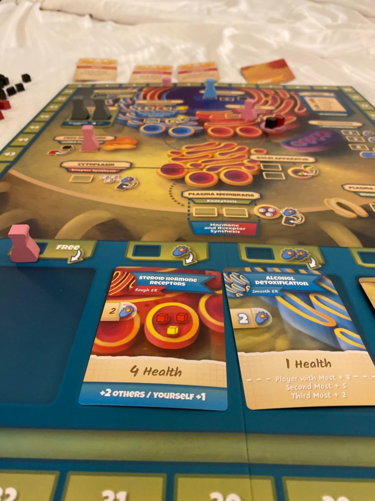Cytosis: A Cell Biology Board Game | A Science Accurate Strategy Board Game About Building Proteins, Carbohydrates, Enzymes, Organelles, & Membranes | Fun Science Games for Adults & Family Game Night customer photo 2