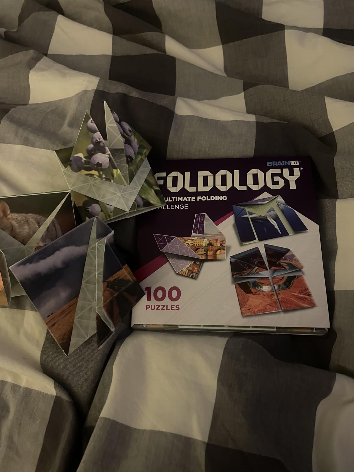 FOLDOLOGY - The Origami Puzzle Game! Brain Teasers for Tweens, Teens & Adults | Travel Game, STEM Toy | Fold the Paper, Complete the Picture | 100 Puzzles | Gift for Ages 10+ customer photo 2