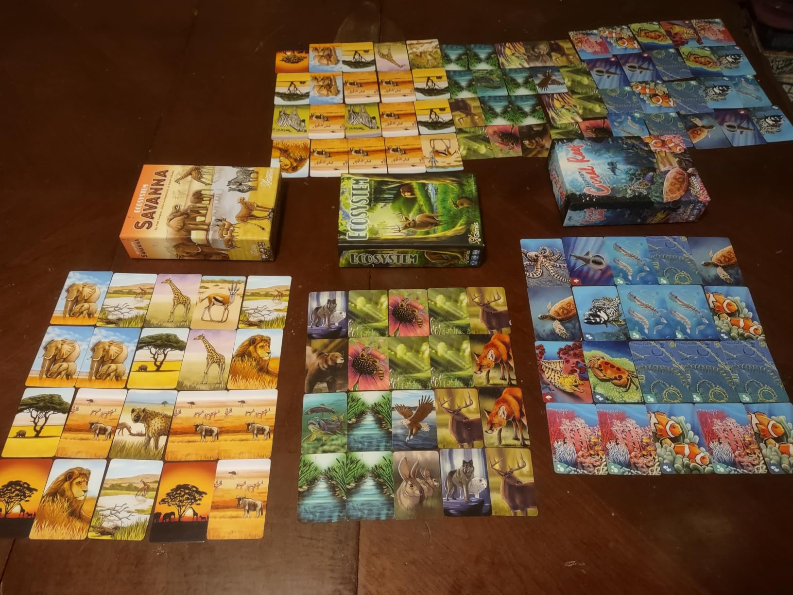 Ecosystem - A Family Card Game about Building Habitats | Learn about Animals, Ecology & Biodiversity for Kids, Adults, Families or the classroom! customer photo 1
