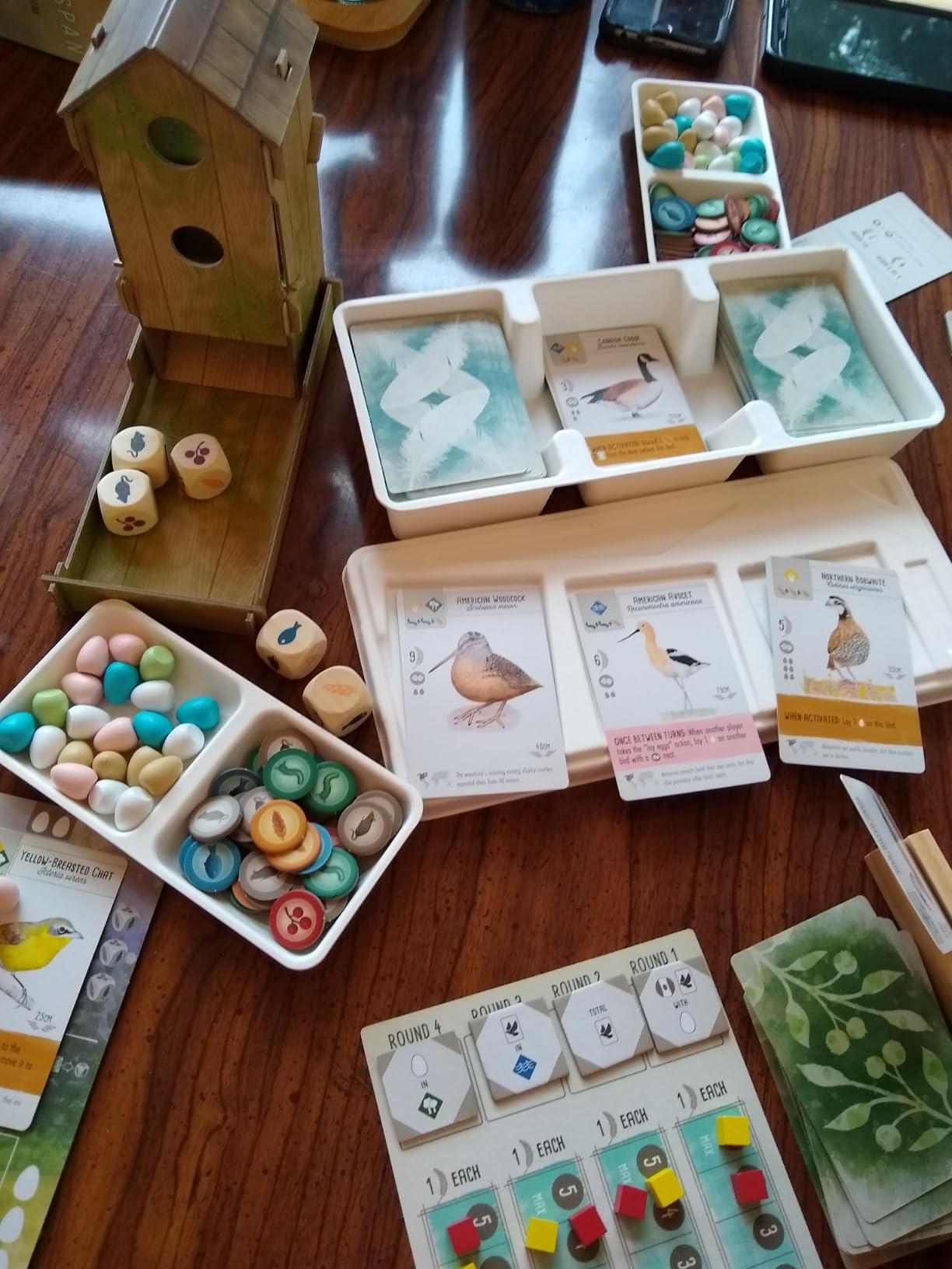 Wingspan (Base Game) by Elizabeth Hargrave | A Relaxing, Award-Winning Strategy Board Game About Collecting Birds for Adults and Family | 1-5 Players, 70 Mins customer photo 2