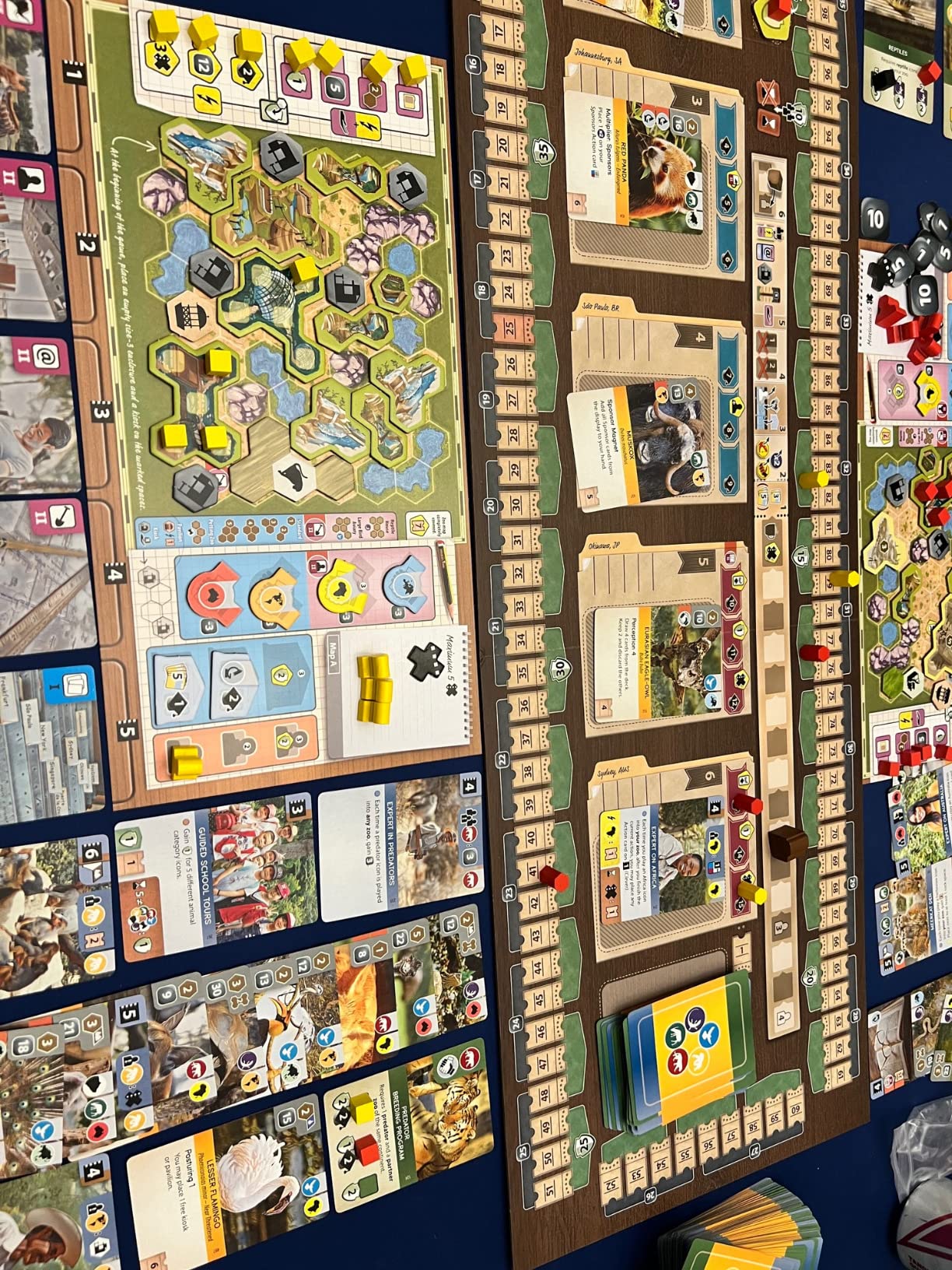 Capstone Games Ark Nova Strategy Board Game for 1-4 Players, Card Drafting, Zoo Building, Hand Management Game with High Replayability | Ages 14+ | 90-150 Minute Play Time customer photo 1