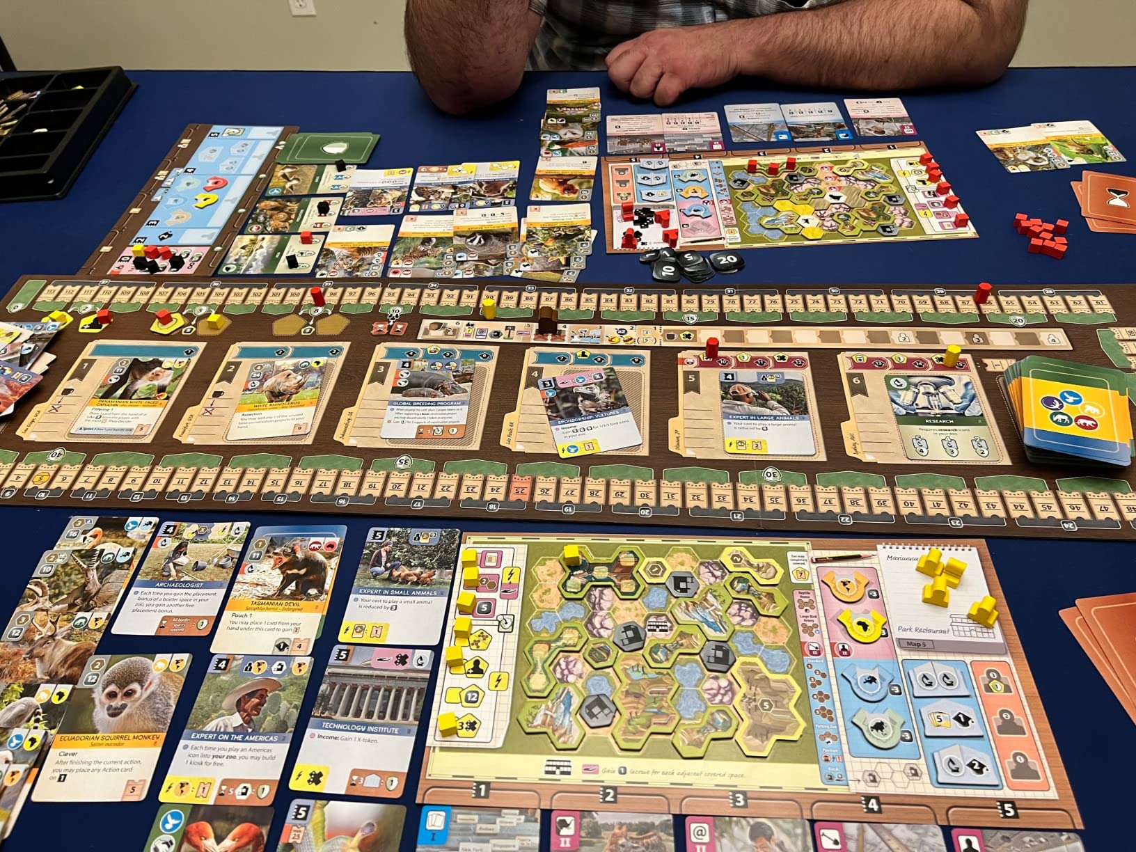 Capstone Games Ark Nova Strategy Board Game for 1-4 Players, Card Drafting, Zoo Building, Hand Management Game with High Replayability | Ages 14+ | 90-150 Minute Play Time customer photo 2