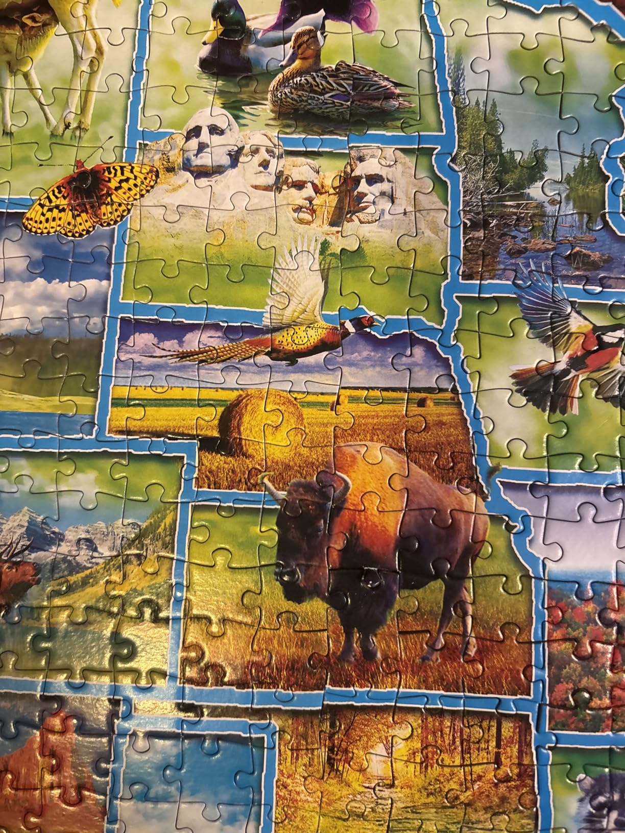 MasterPieces 3000 Piece Puzzle USA National Parks Jigsaw Puzzle, Large Educational Scenic Artwork Featuring Iconic Landmarks, Bold Color Illustrations, Premium Precision Cut Pieces, 32 x 45 Display customer photo 2