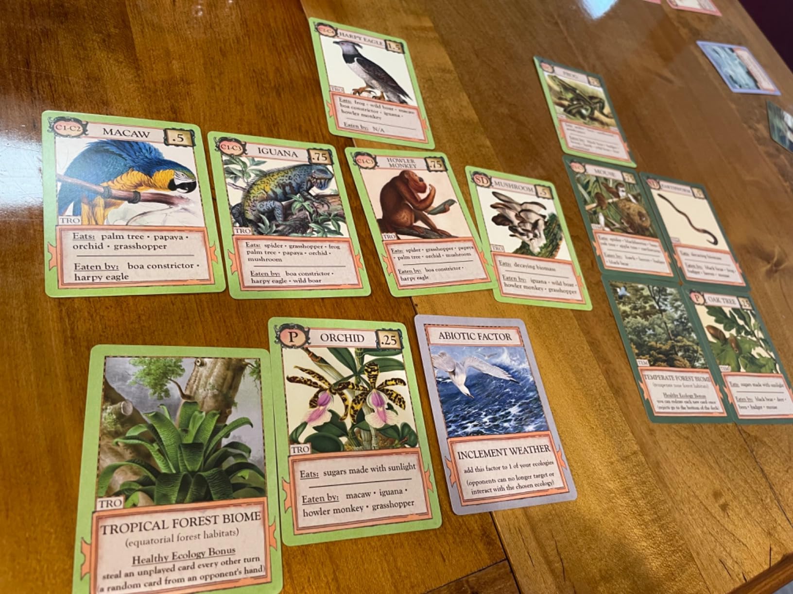 Ecologies Card Game - Use Science to Build Food Webs in 7 Biomes - Beautiful Vintage Nature Art for The Classroom or Game Night customer photo 2