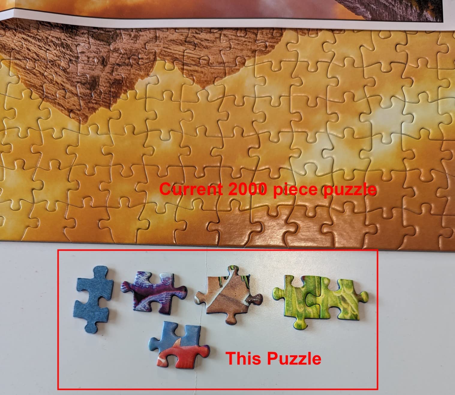 Ravensburger - Colorful Underwater World - 3000 Piece Jigsaw Puzzle - Stunning Imagery - Beautiful & Intricate - Unique Depiction Under The Sea - Premium Quality customer photo 2