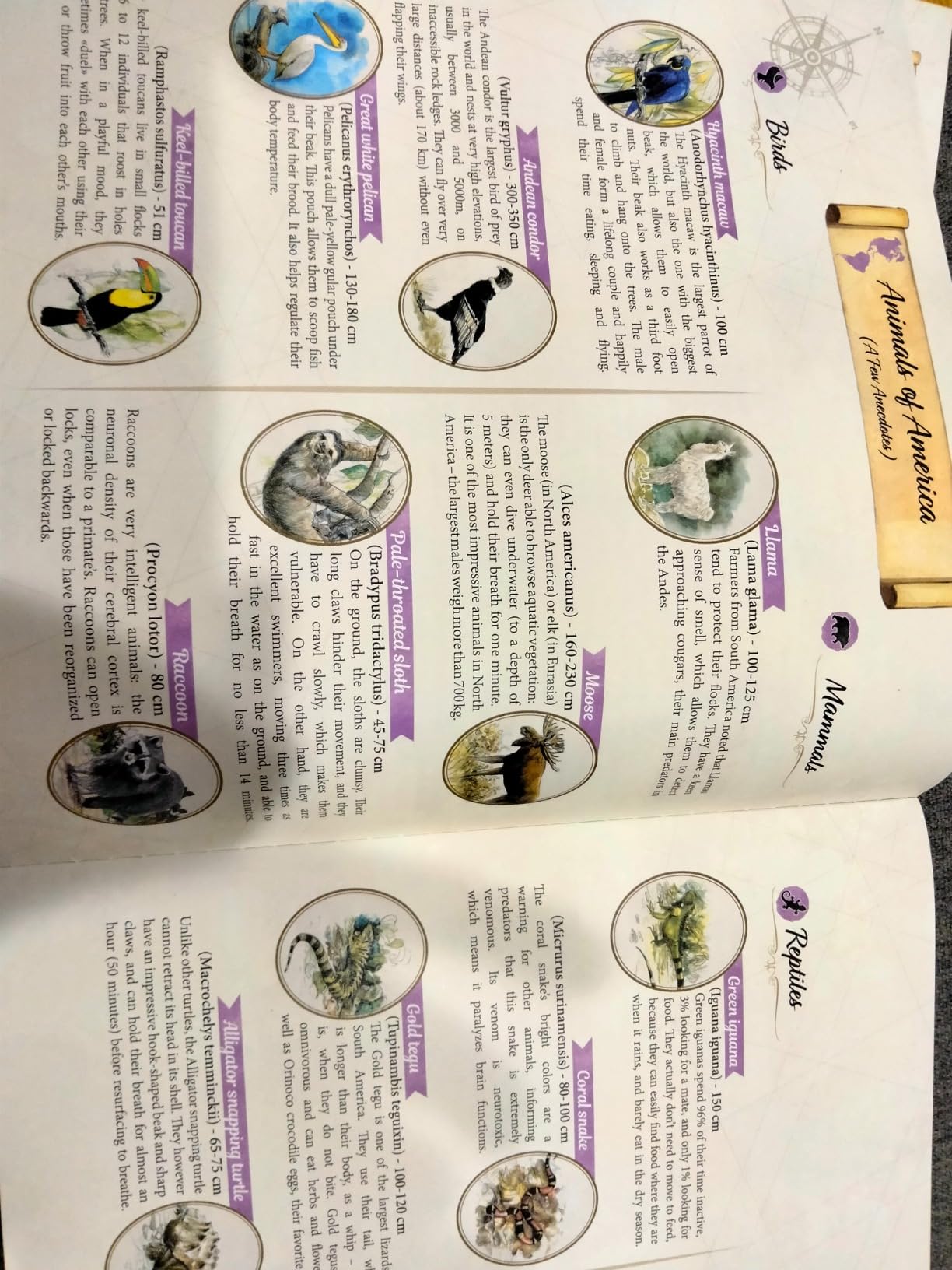 in The Footsteps of Darwin | Mensa Select Winner | Tile Laying Board Game for Kids, Teens, & Adults | Help Create Origins of Species | Fun & Educational Family Game | Ages 8+ | 2-5 Players | 30 Min customer photo 2