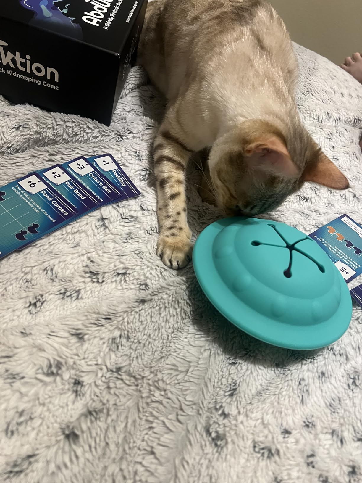 Abducktion - A weirdly Strategic Duck Kidnapping Game, 15-Minutes of Light Strategy of Ducks, a UFO, and Mind-Bending, Shape-Finding Logic! customer photo 1