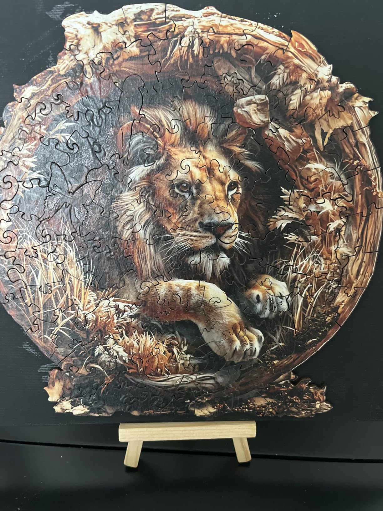 KAAYEE Wooden Jigsaw Puzzles-Wooden Puzzle Adult Unique Shape Advanced Phoenix Wooden Jigsaw Puzzle for Adult, Family Puzzles 21.6 * 20in 680pcs customer photo 2