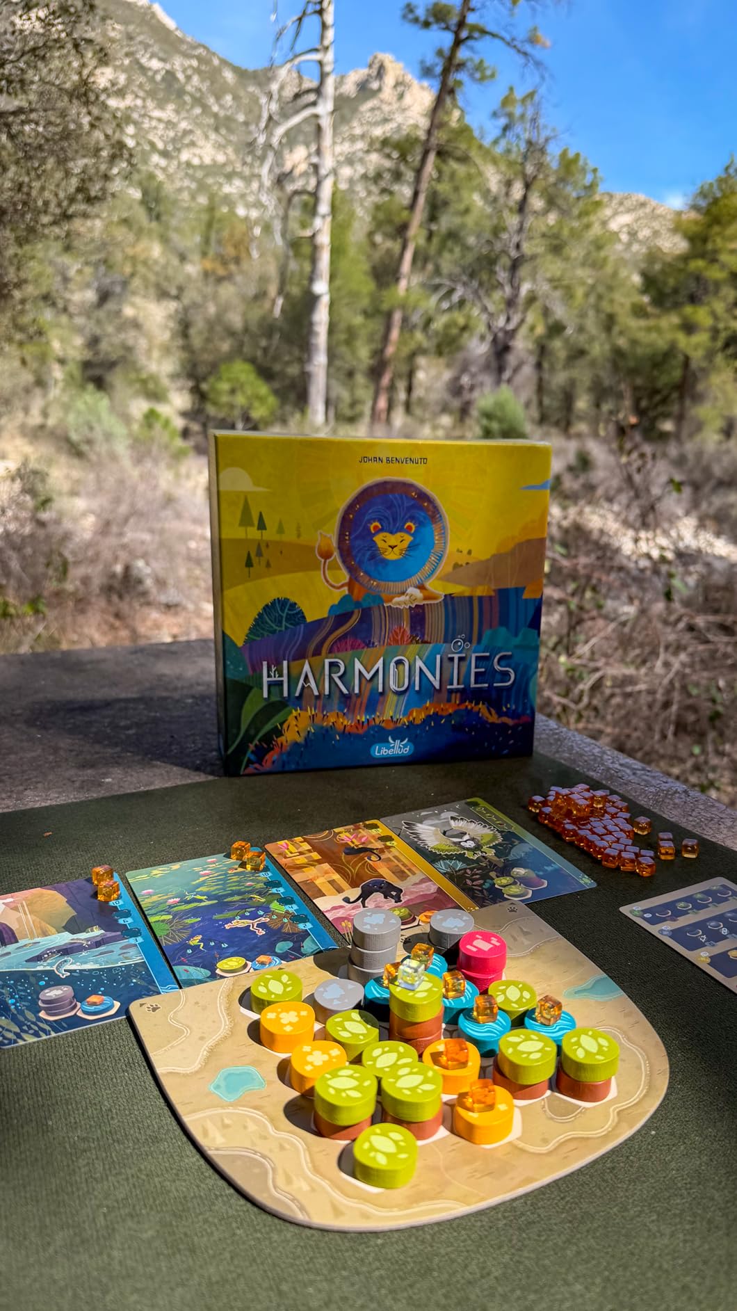 Asmodee Harmonies Board Game - Create Oneiric Landscapes, Strategic & Poetic Gameplay, Fun Family Game for Kids & Adults, Ages 10+, 1-4 Players, 30 Min Playtime, (Multilingual Edition) customer photo 2