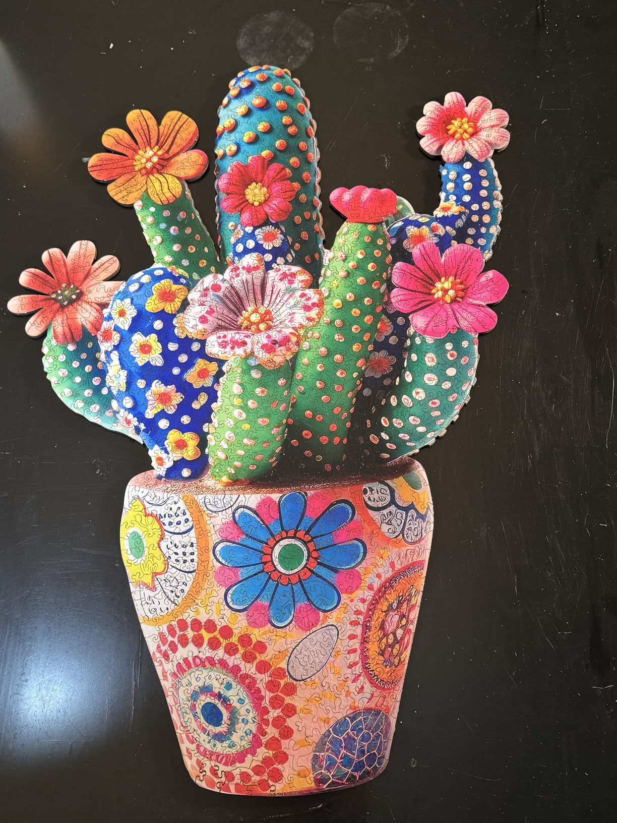 Mys Aurora Puzzles for Adults Cactus Flower Wooden Puzzles, 500 Pieces Unique Shaped Jigsaw Puzzles, Birthday for Family Adults, Fun Challenge Game 16.7'' x 23.4'' customer photo 2