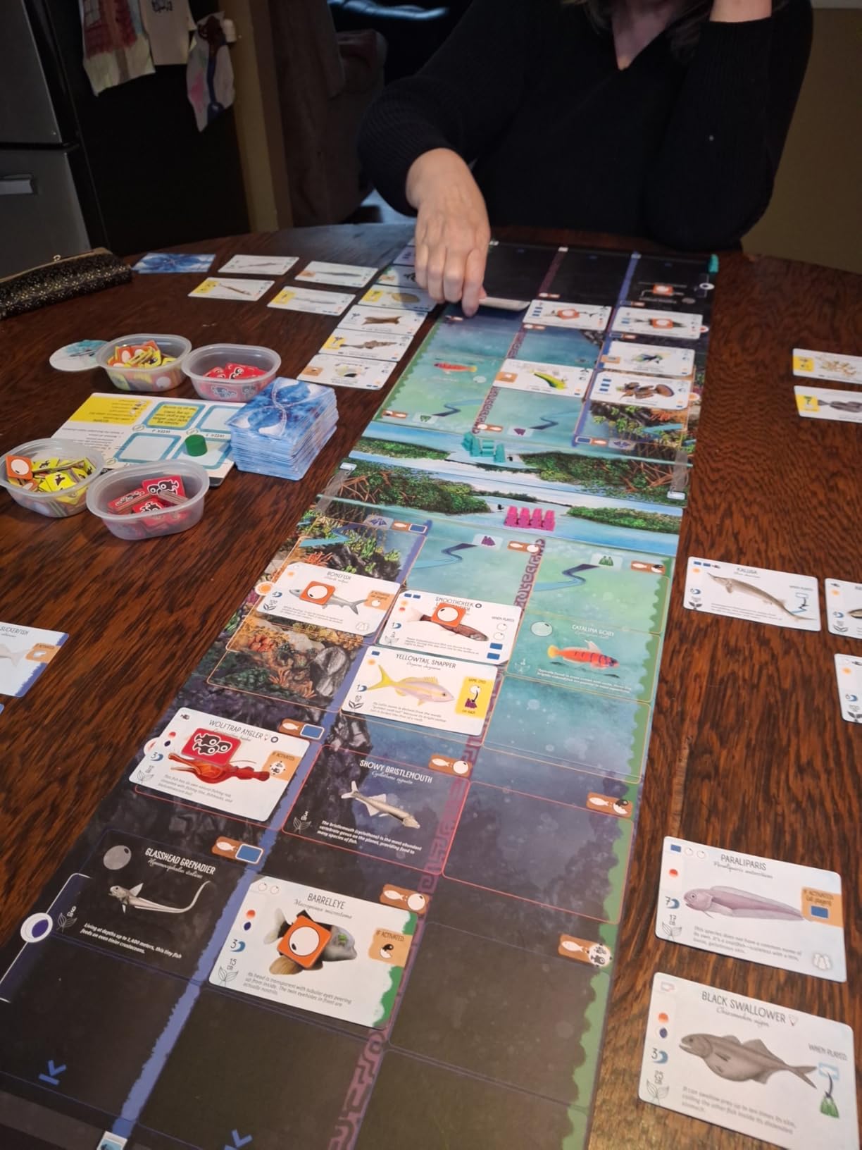 Stonemaier Games: Finspan - A Wingspan Game by David Gordon & Michael O'Connell | A Relaxing Strategy Board Game About Collecting Fish and Ocean Diving for Adults and Family | 1-5 Players, 60 Mins customer photo 2