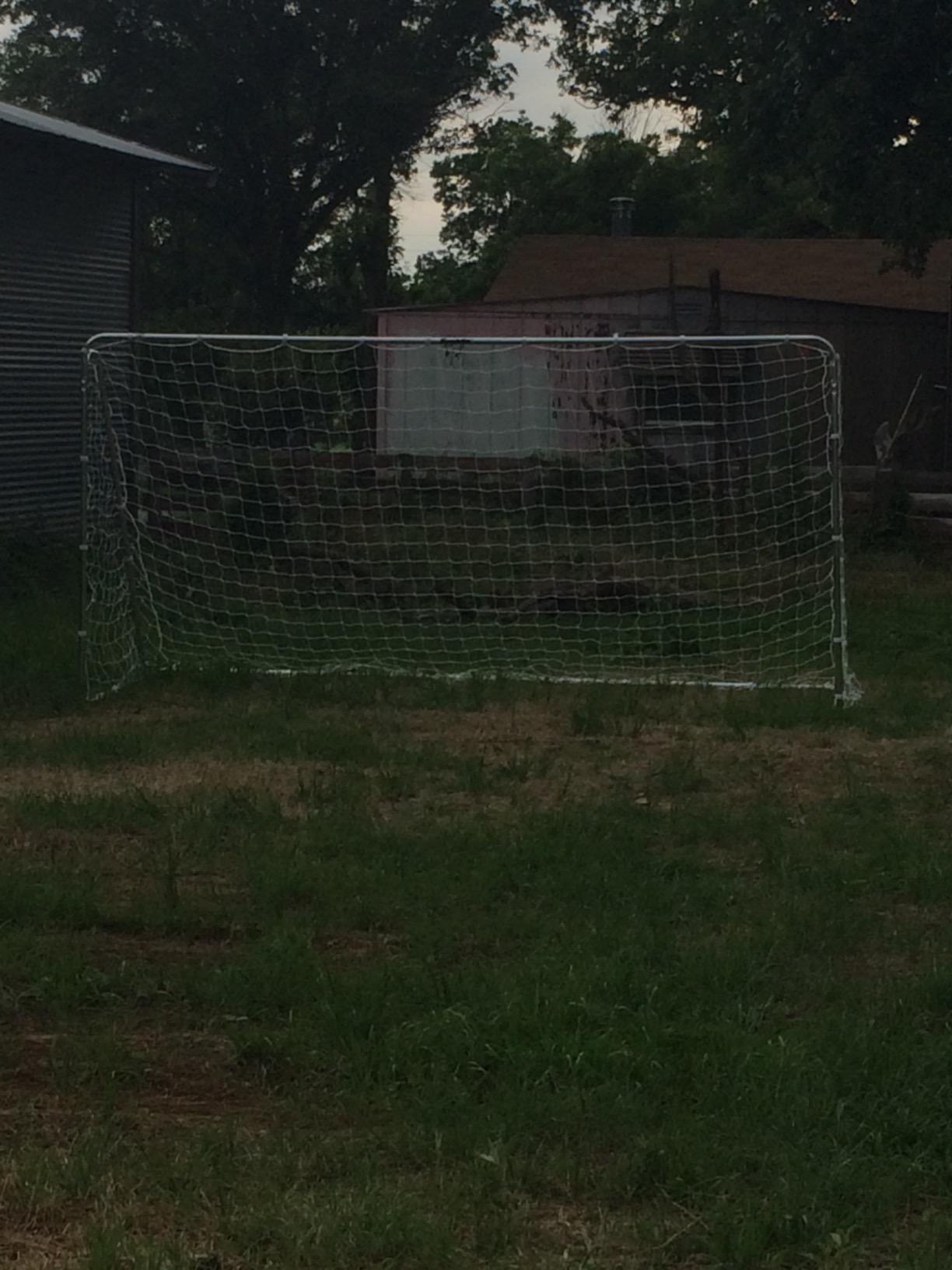 Franklin Sports Competition Soccer Goals - Backyard Portable Steel Soccer Goals - Adult + Youth Soccer Goal with Net + Ground Stakes Included - Multiple Sizes + Colors customer photo 1