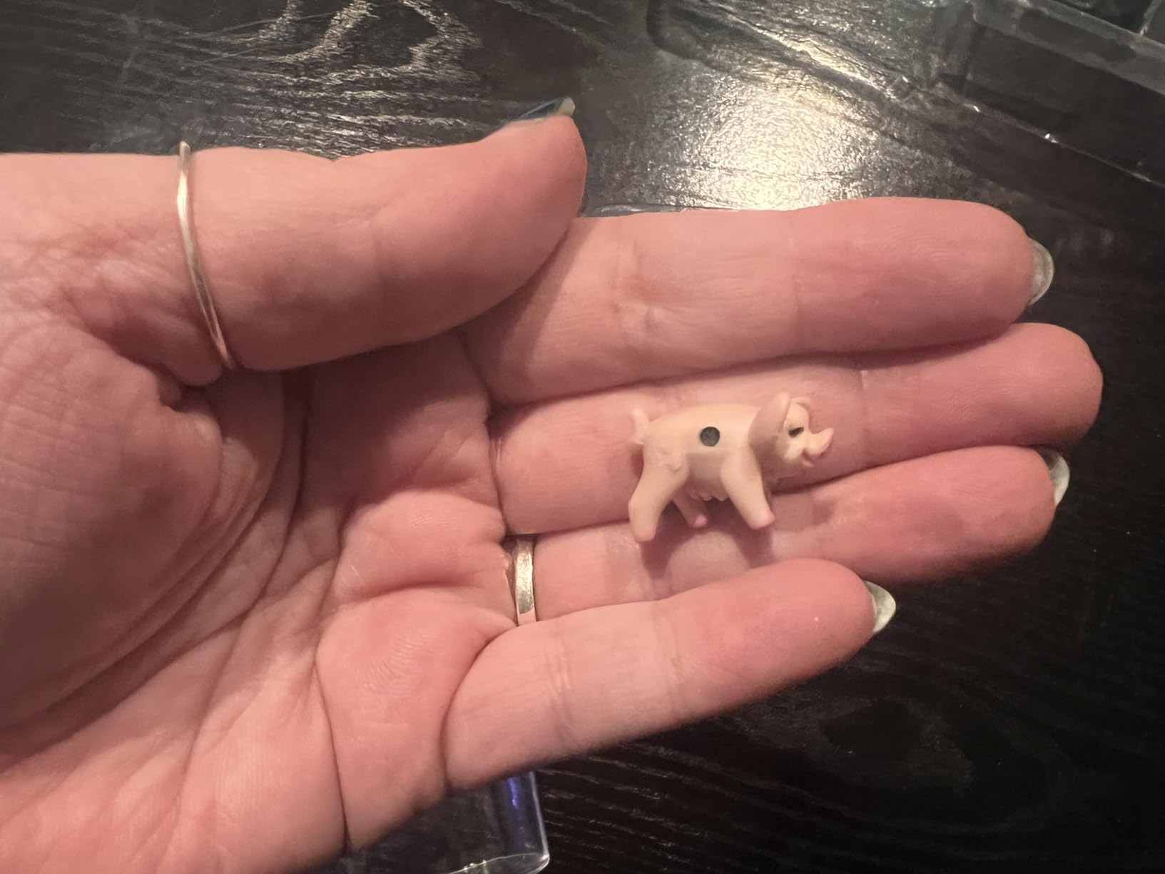 Pass the Pigs, Hilarious Pig Dice Game by Winning Moves Games USA customer photo 1