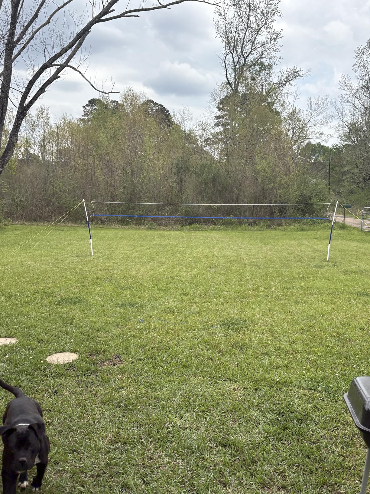 Franklin Sports Volleyball + Badminton Sets - Beach + Backyard Game Set - Volleyball, Pump, Badminton Rackets, Birdies, Net + Poles Included customer photo 1