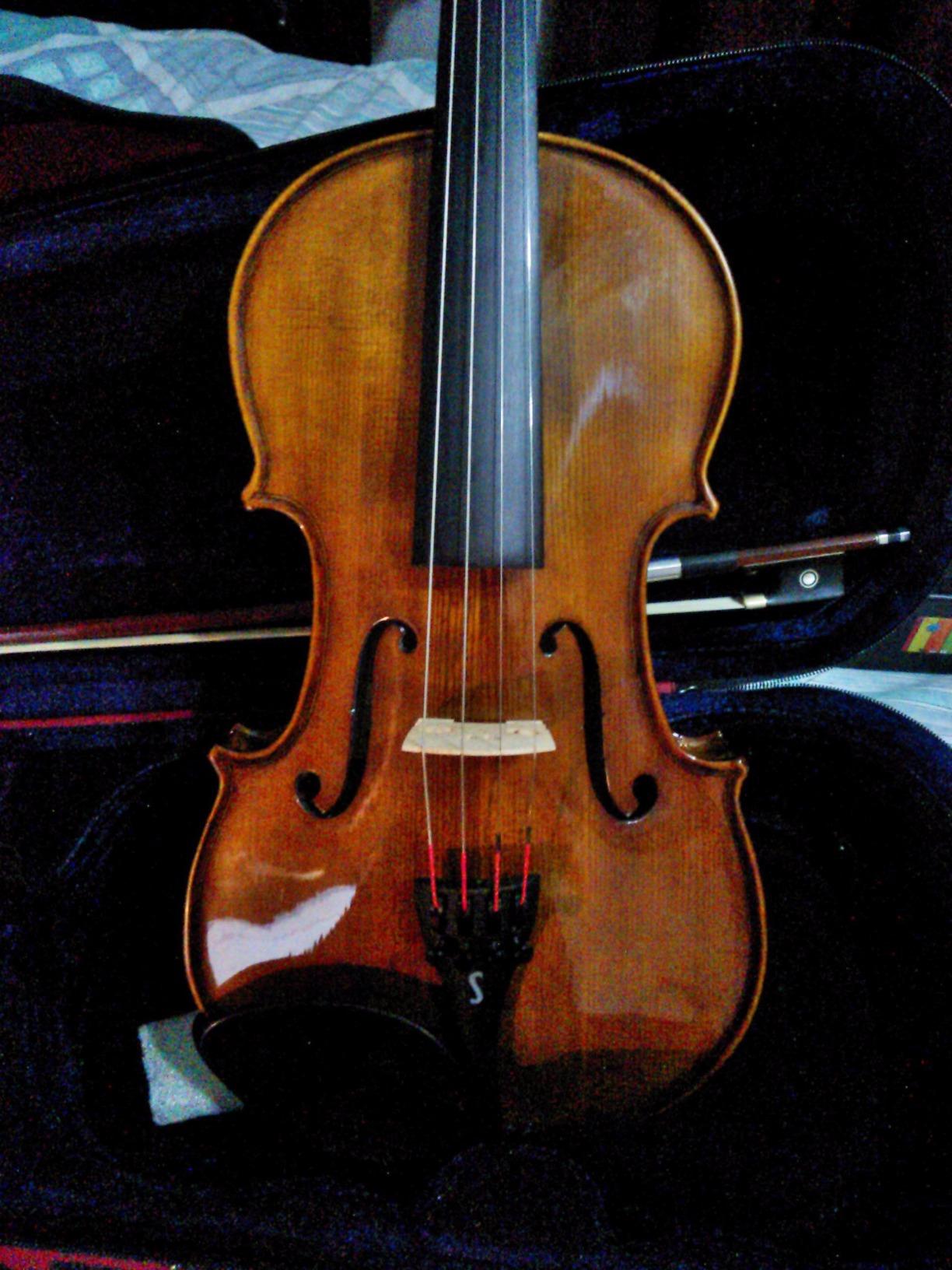 Stentor Student I Violin Outfit (1400G2) - 1/8 Size - Hand Crafted Solid Tonewood customer photo 1