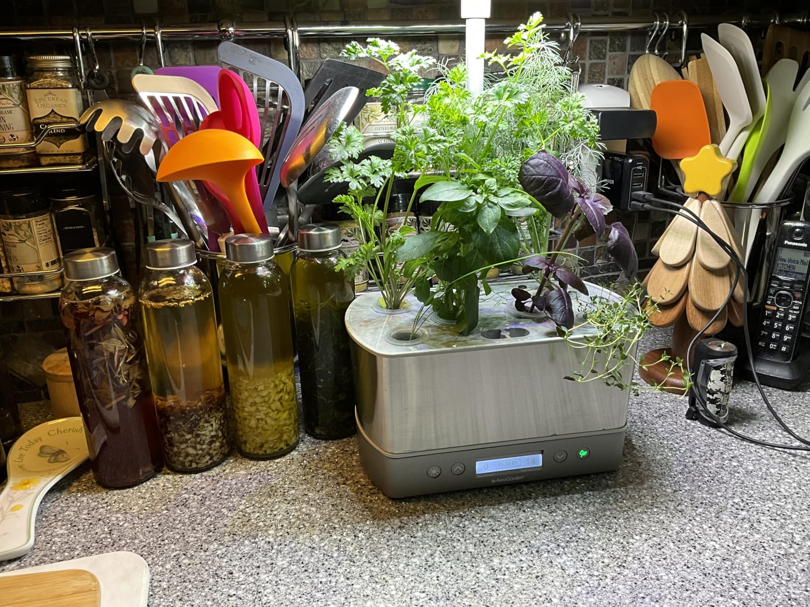 AeroGarden Harvest Elite, Stainless Steel customer photo 1