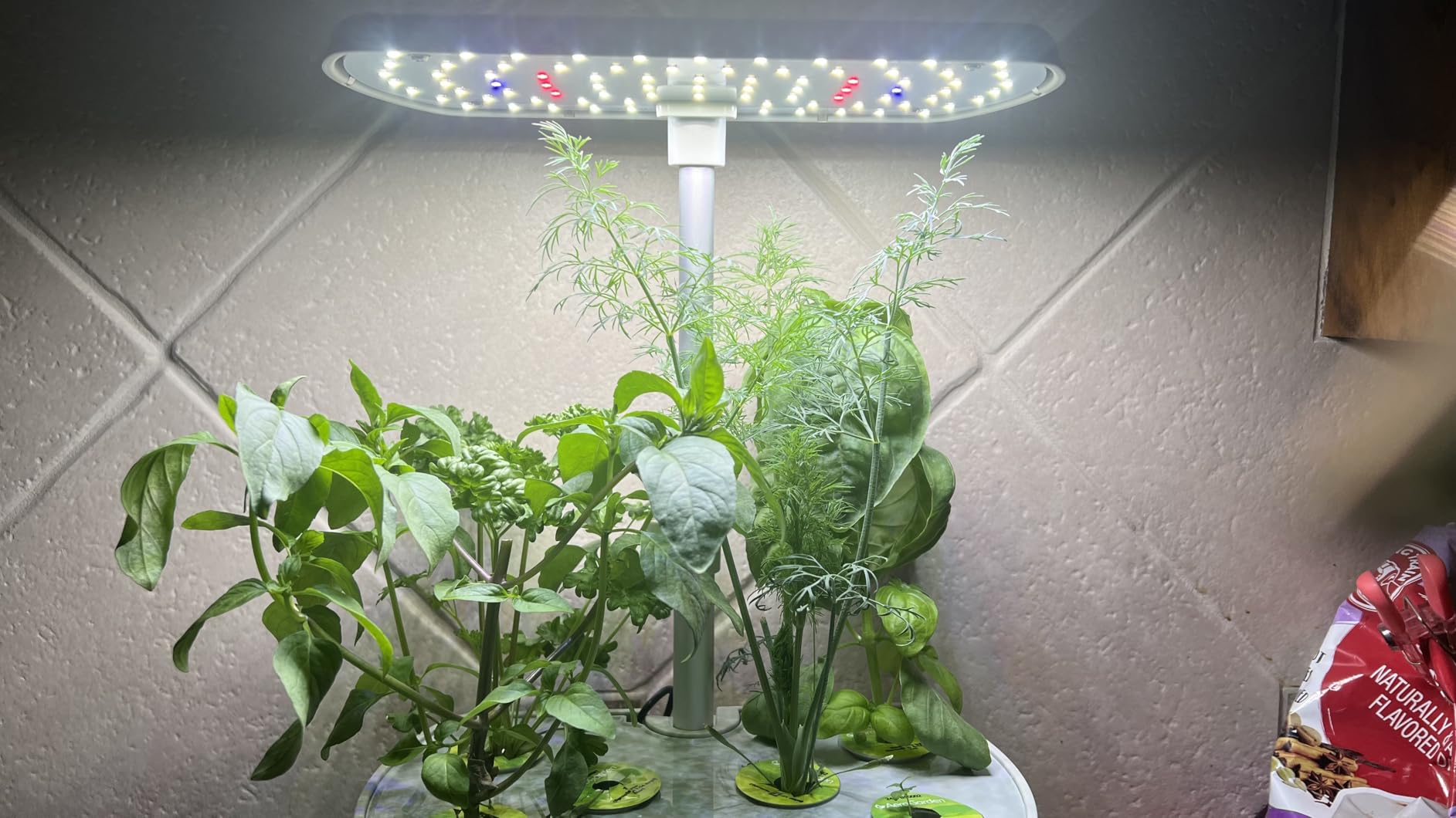 AeroGarden Harvest Elite, Stainless Steel customer photo 2