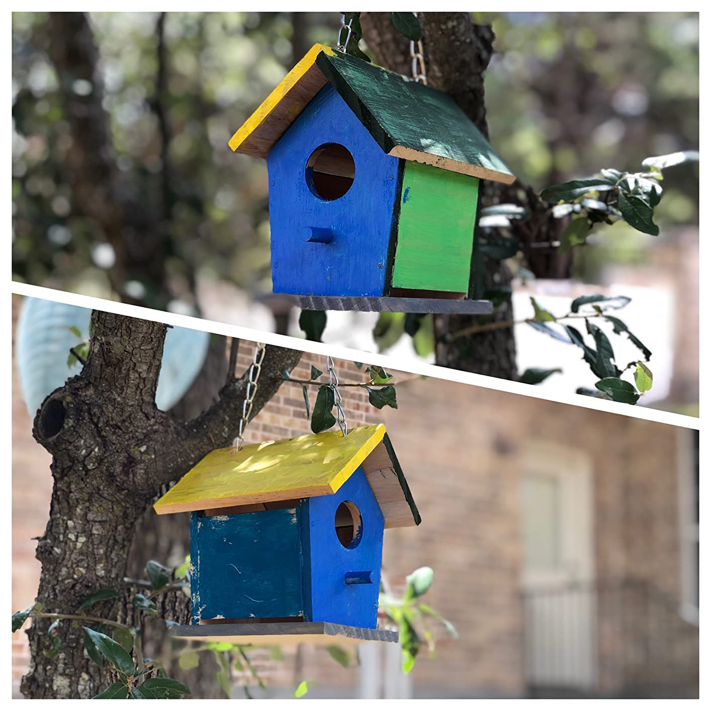Beetle & Bee Build A Bird Bungalow - DIY Kid Art Craft Outdoor Birdhouse Kit, House Painting Kit for Kids, Hardware Glue Included, Age 5+ customer photo 2