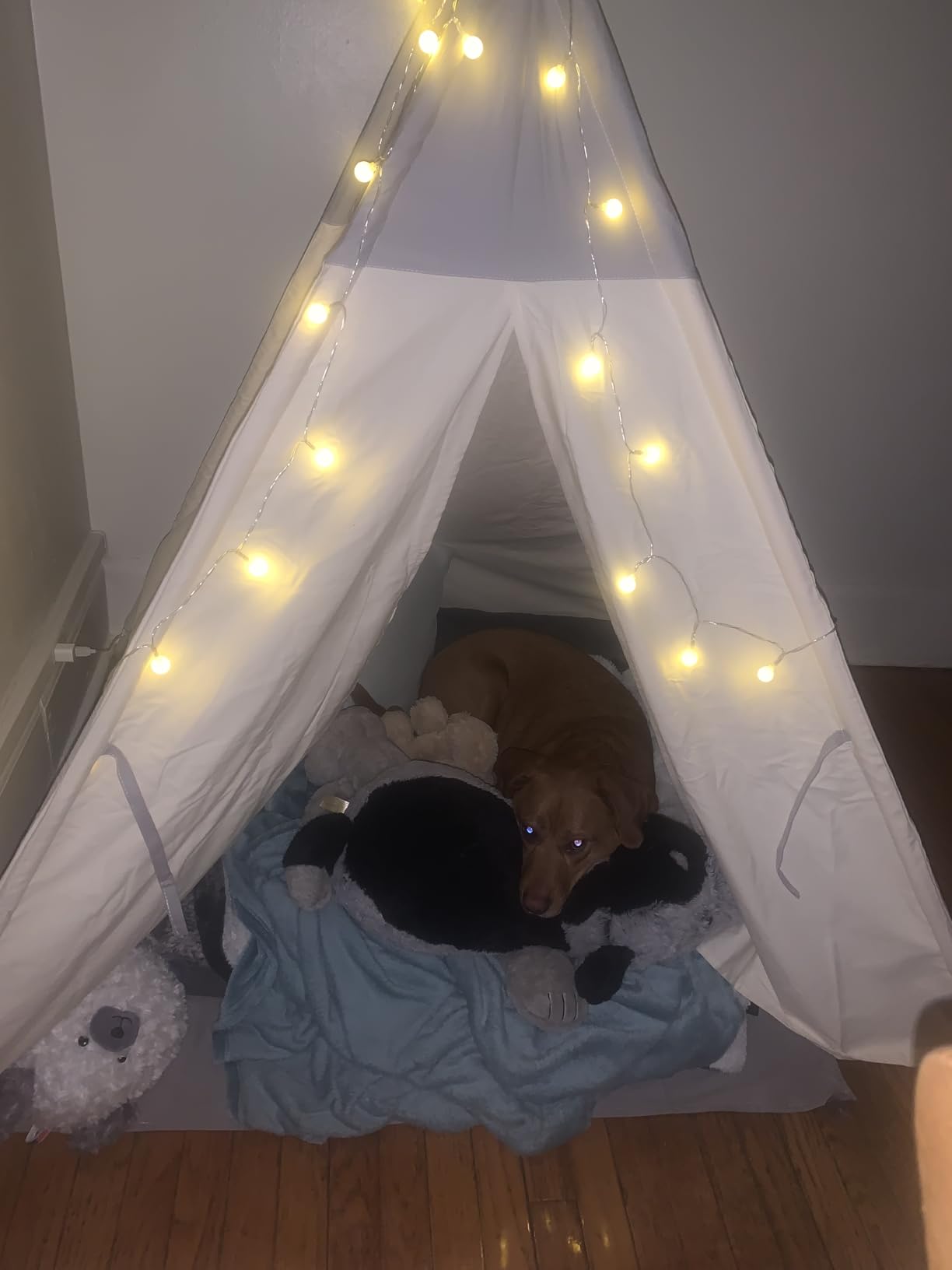 besrey Teepee Tent for Kids with Light & Mat, Toddler Tents Indoor Play Tent Playhouse, Toddler Tipi Cotton, tee Pee Tents for Kids Indoor, Boys & Girls Teepee,Children Room Playhouse customer photo 1