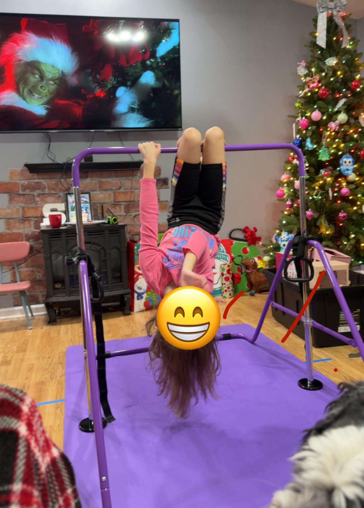 RINREA Gymnastic Bars for Kids, Adjustable Height Horizontal Bar for Home customer photo 1