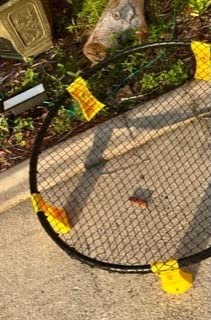 Roundnet Game Set with 3 Balls and Strip Light - Roundnet Game for Outdoor Indoor Lawn Beach Backyard and Park customer photo 1