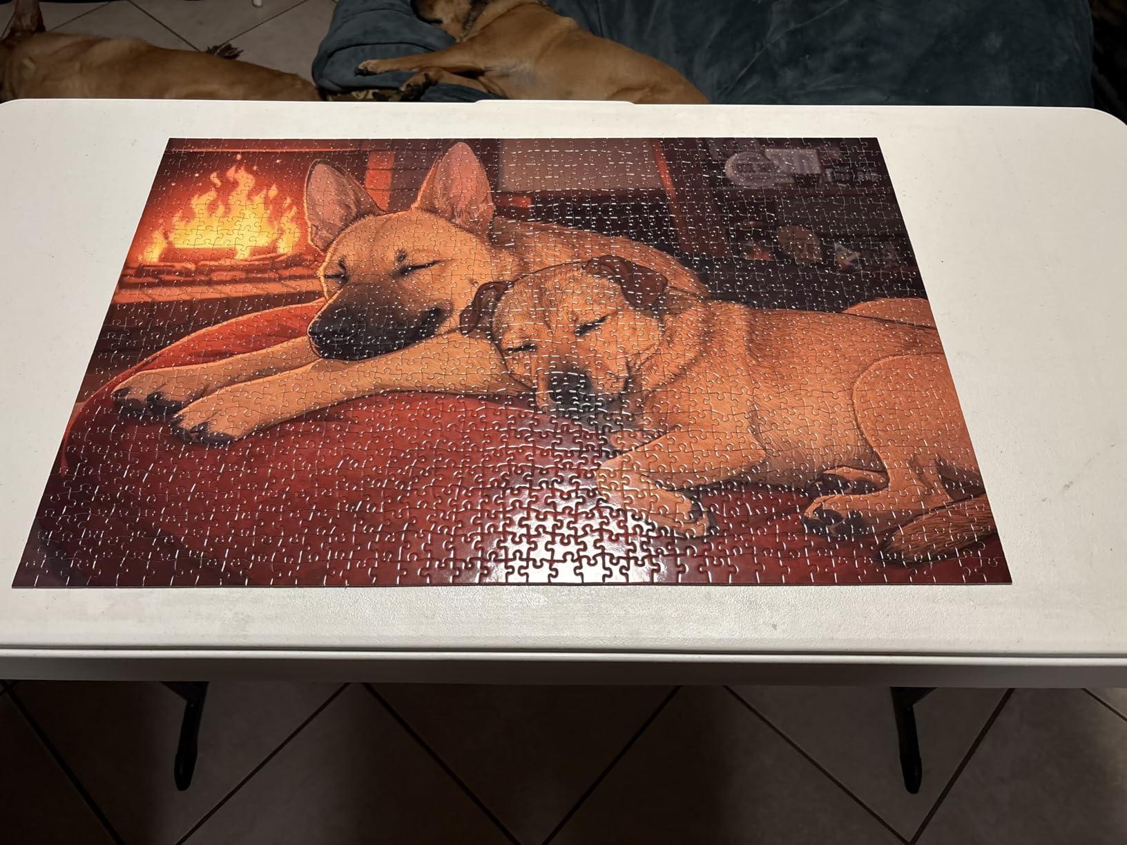 I See Me! Photo Puzzle, Pet, Wedding, Family Reunion Puzzle | 500 Piece, Custom Jigsaw Puzzle for Adults (Vertical/Portrait) | 16