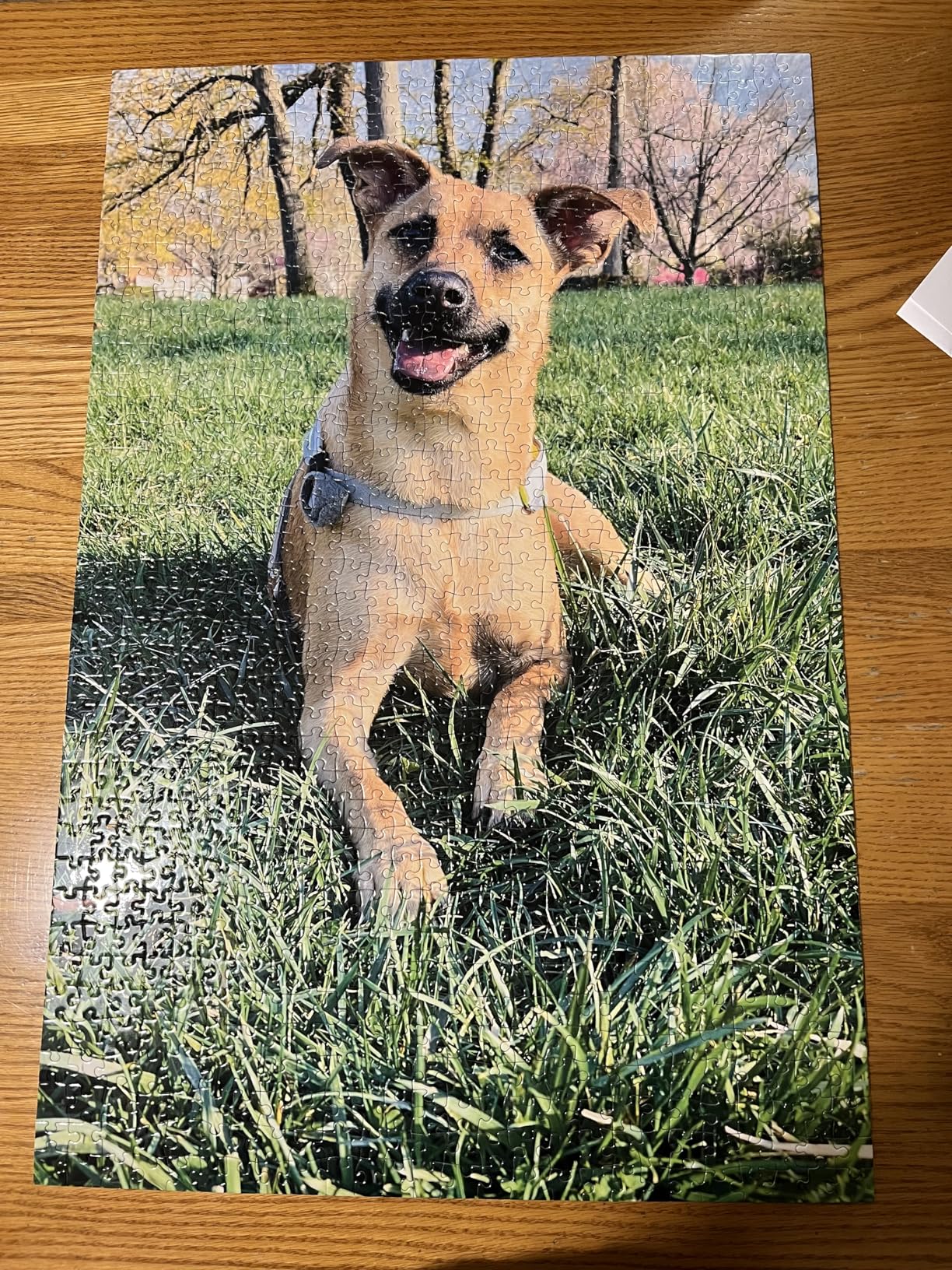 I See Me! Photo Puzzle, Pet, Wedding, Family Reunion Puzzle | 500 Piece, Custom Jigsaw Puzzle for Adults (Vertical/Portrait) | 16
