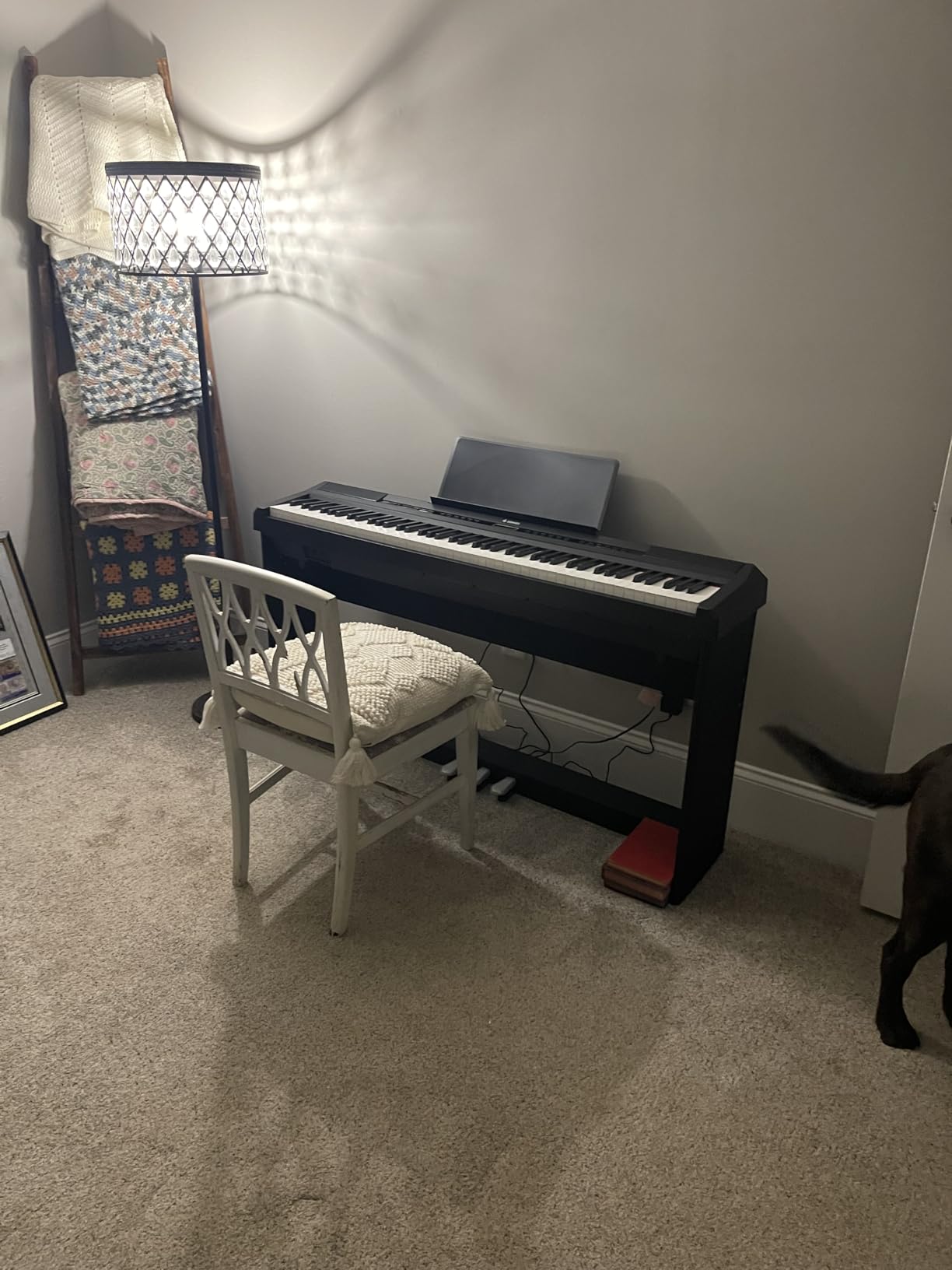 Donner DEP-20 Beginner Digital Piano 88 Key Full Size Weighted Keyboard, Portable Electric Piano with Furniture Stand, 3-Pedal Unit customer photo 1