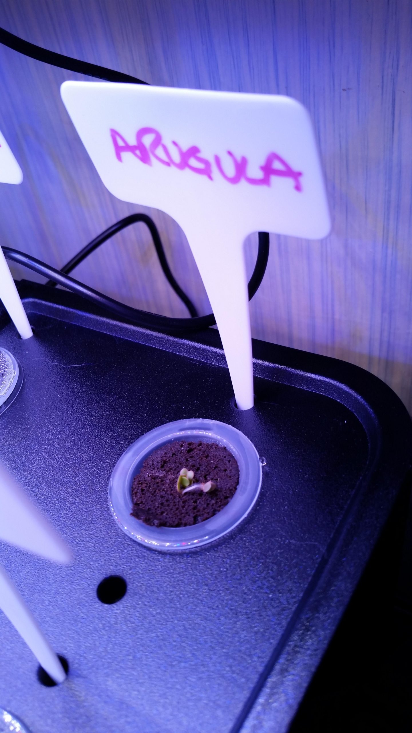 iDOO 12Pods Hydroponics Growing System Garden with LED Grow Light customer photo 2