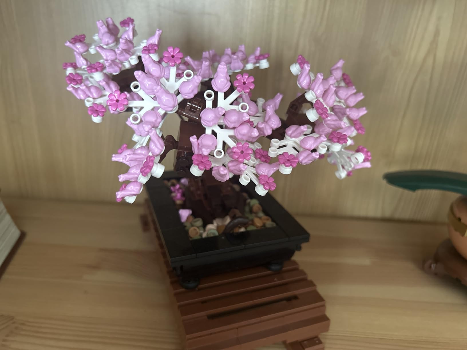 LEGO Botanicals Bonsai Tree Building Set - Artificial Bonsai Tree Plants for Home Decor, Adults Ages 18+ (10281) customer photo 2