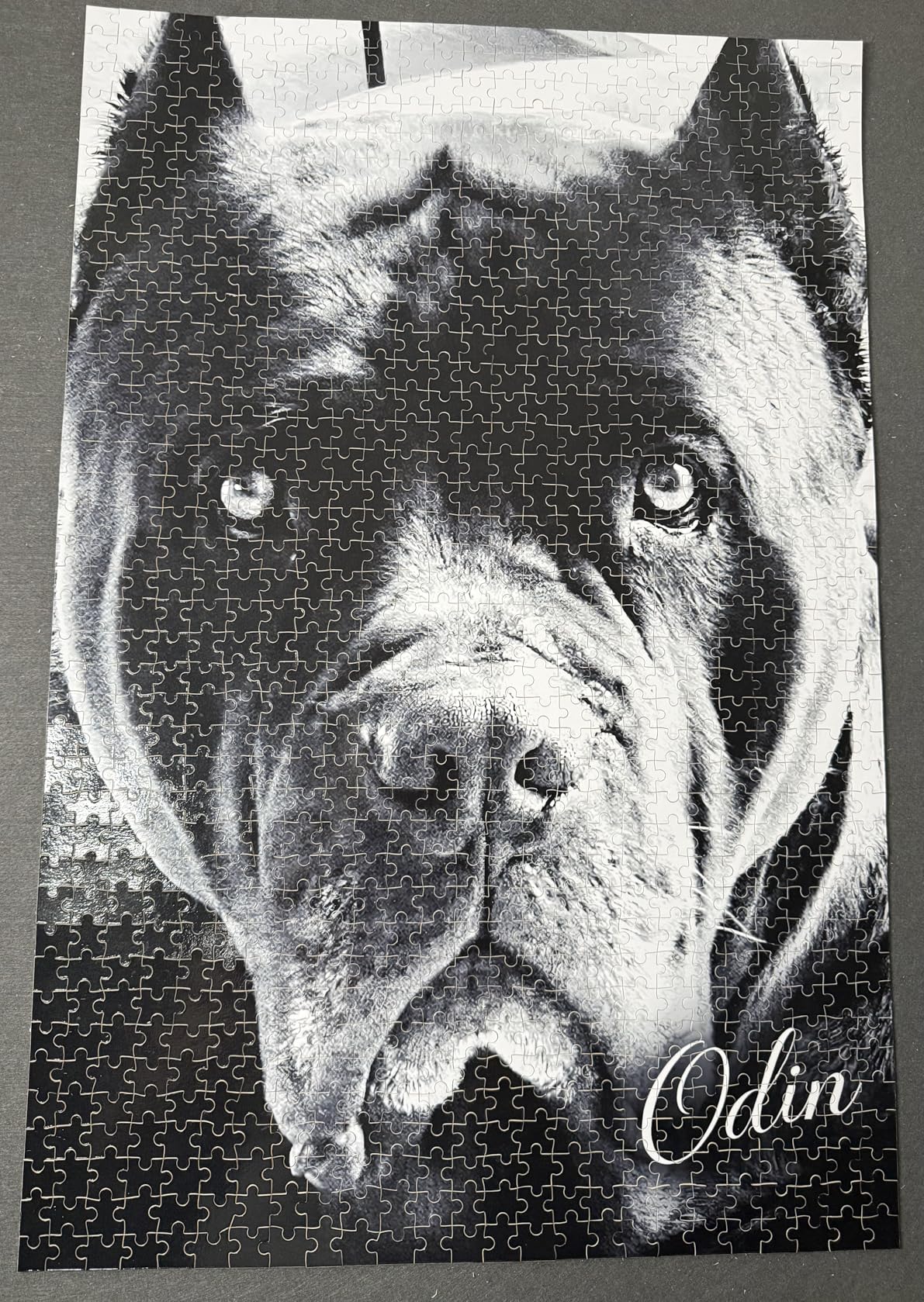 ATOOZ Custom Puzzles from Photos Custom Puzzle 1000 Pieces, Personalized Puzzle for Mom Dad Custom Mother's Day, Father's Day, Valentine's Day, Halloween, Christmas, Pet Gifts customer photo 2
