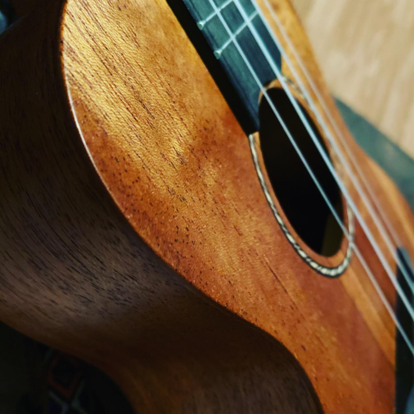 Donner Concert Ukulele Professional 23 Inch Mahogany Ukelele for Adult Beginner Ukele Bundle with Online Lesson Gig Bag Aquila String Pick Tuner Strap Cloth DUC-200B customer photo 2