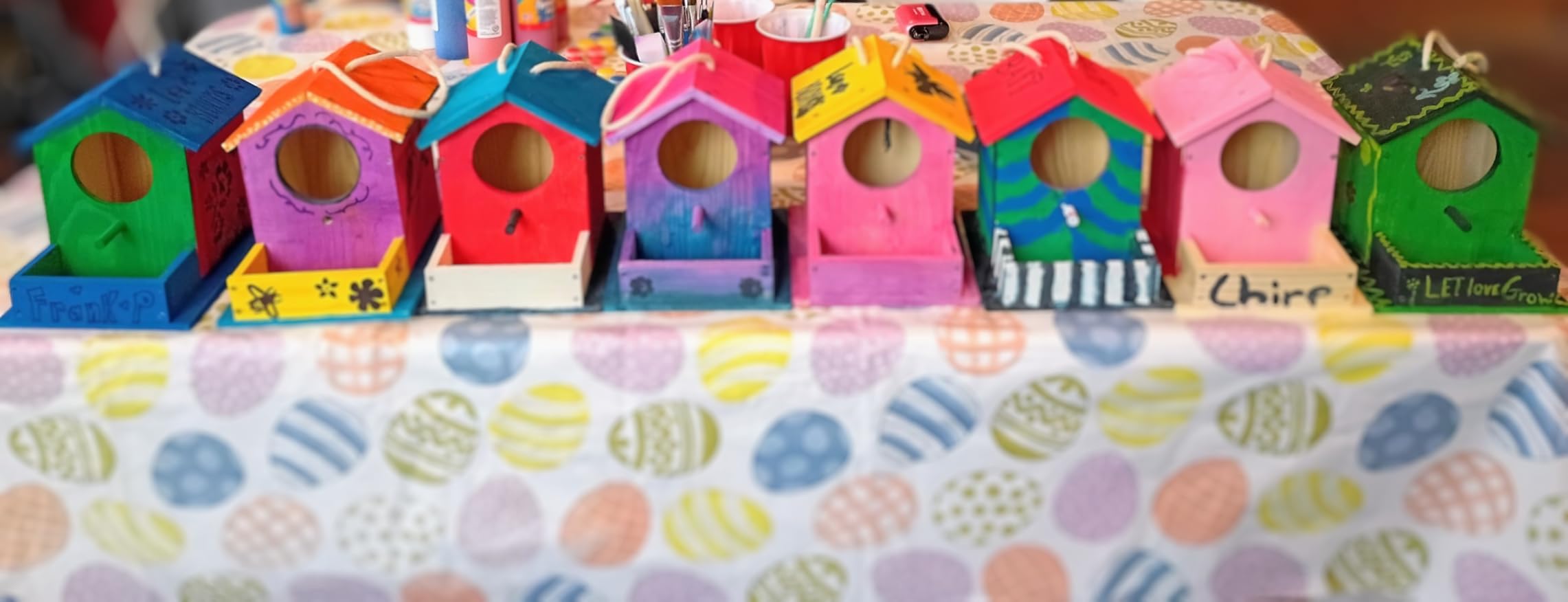 LotFancy Bird House Kit, DIY Wooden Birdhouse Kits, Arts and Crafts Painting Kits for Kids Ages 4+, Build and Paint, Including Paints & Brushes customer photo 2