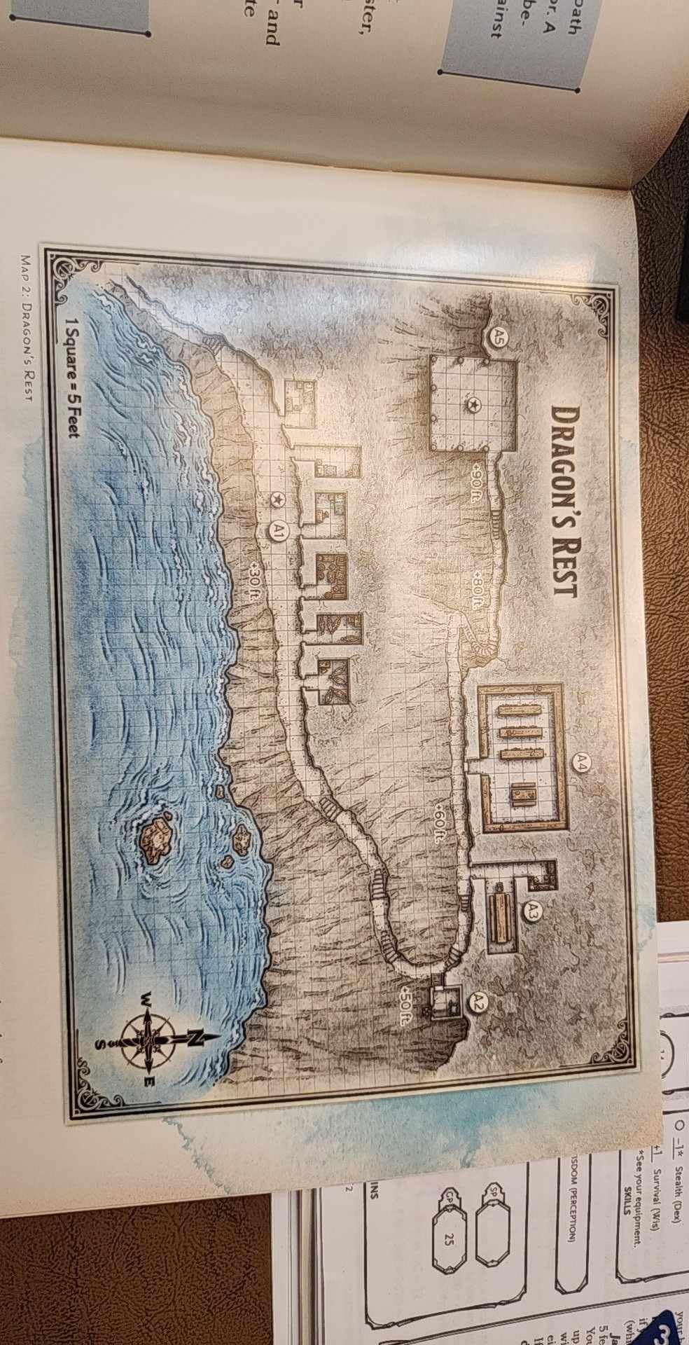 Dungeons and Dragons Starter Set: Dragons of Stormwreck Isle customer photo 1