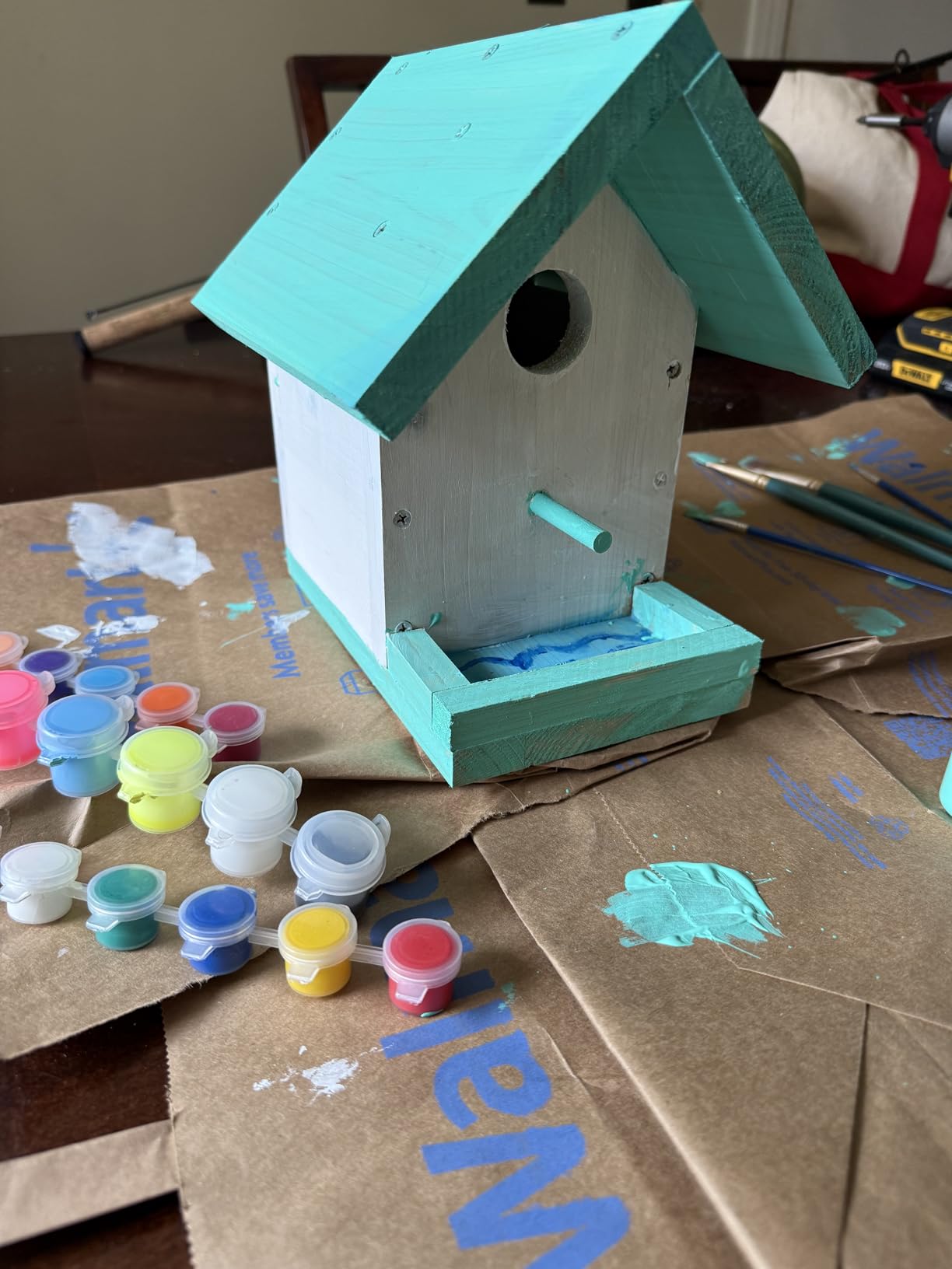DIY Birdhouse Kit with Paint Set - Kids' Wood Craft Kits - Make a Bird House Kit for Kids - DIY Woodcraft Building Projects for Kids and Adults - STEM Teaching Tools customer photo 1
