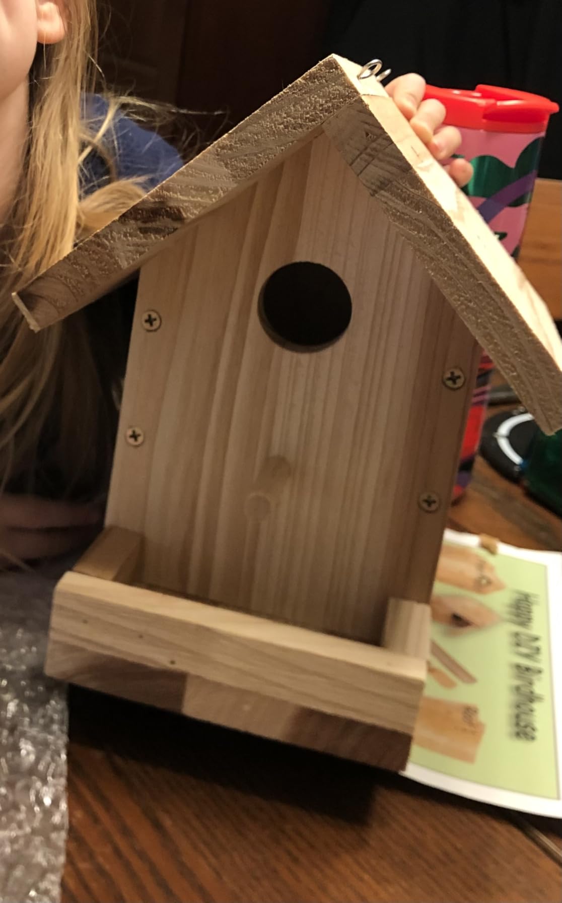 DIY Birdhouse Kit with Paint Set - Kids' Wood Craft Kits - Make a Bird House Kit for Kids - DIY Woodcraft Building Projects for Kids and Adults - STEM Teaching Tools customer photo 2
