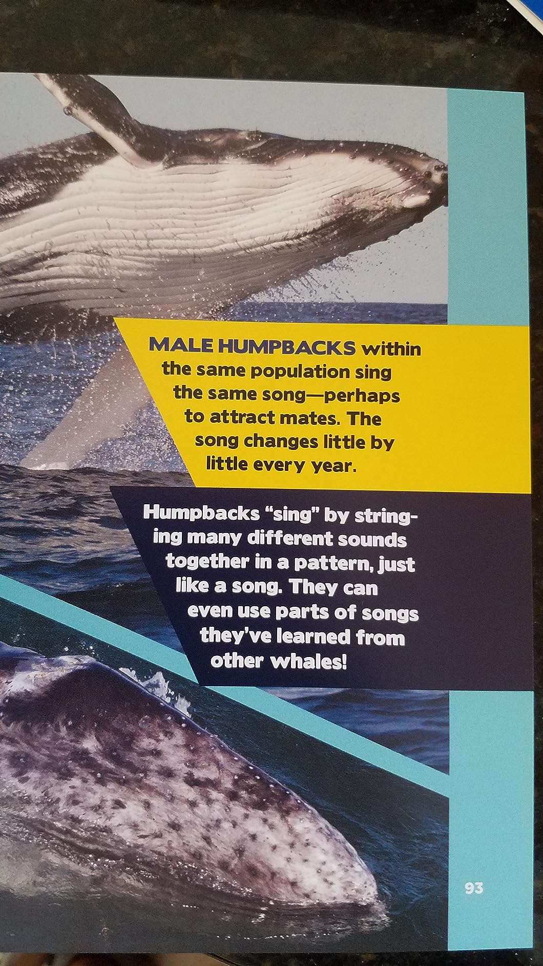The Fascinating Facts Books for Kids 3 Book Box Set: 1,500 Incredible Facts about Animals, Oceans, and Science for Kids Ages 9-12 customer photo 1