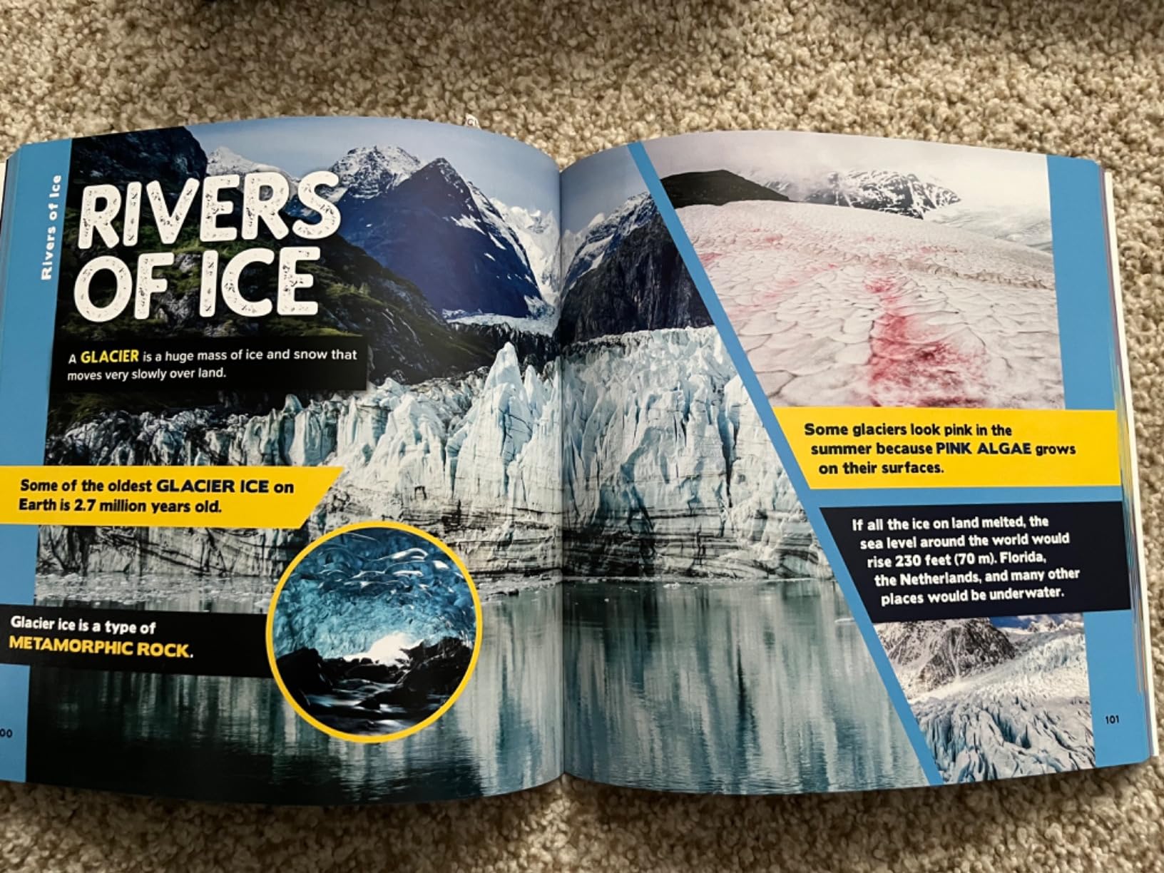 The Fascinating Facts Books for Kids 3 Book Box Set: 1,500 Incredible Facts about Animals, Oceans, and Science for Kids Ages 9-12 customer photo 2