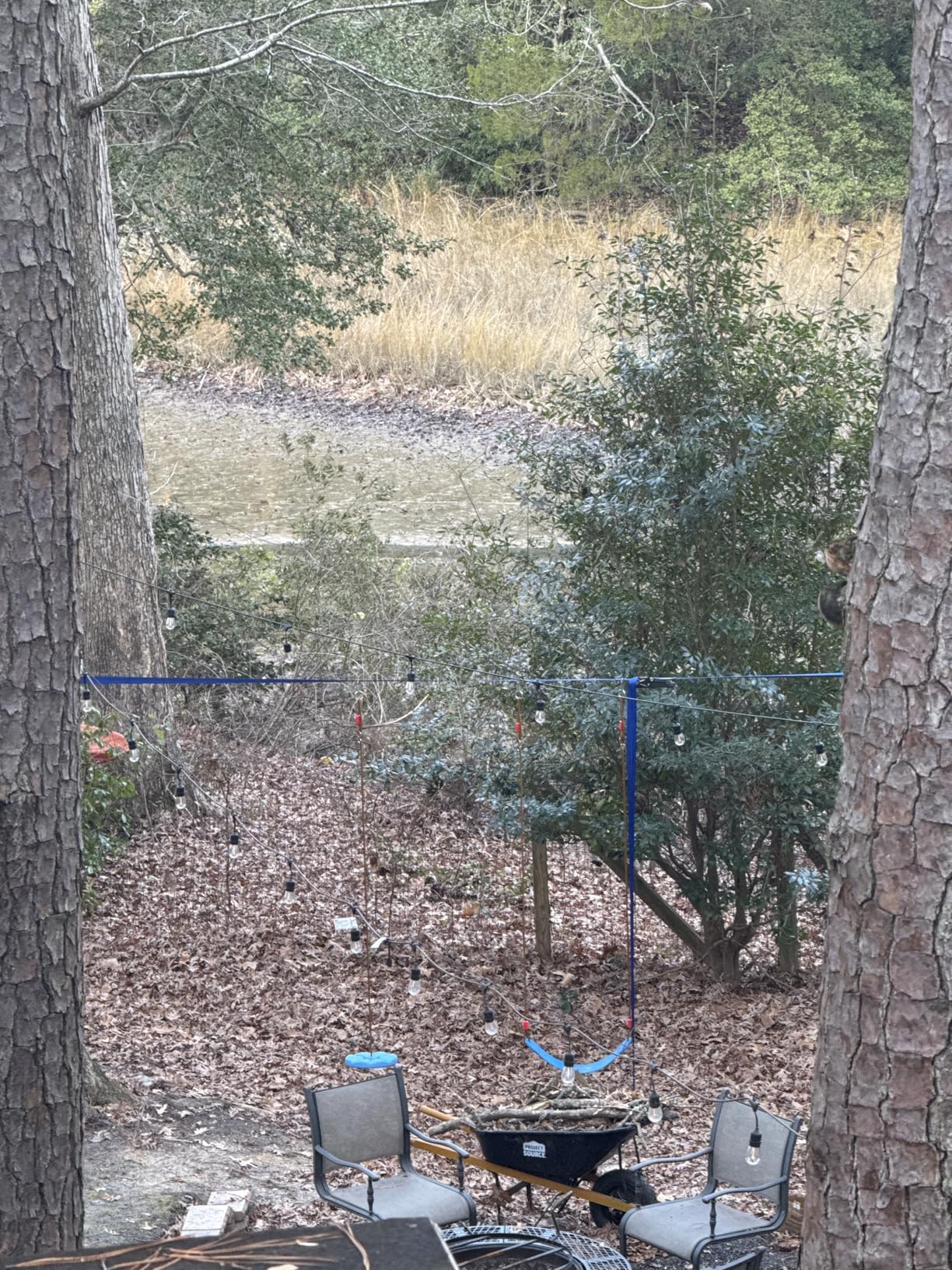 Ninja Warrior Obstacle Course for Kids, 65FT Slackline, Quick Buckles | 13 obstacles, upgraded buckle system, install anywhere, no webbing threading required, 1-year warranty customer photo 1