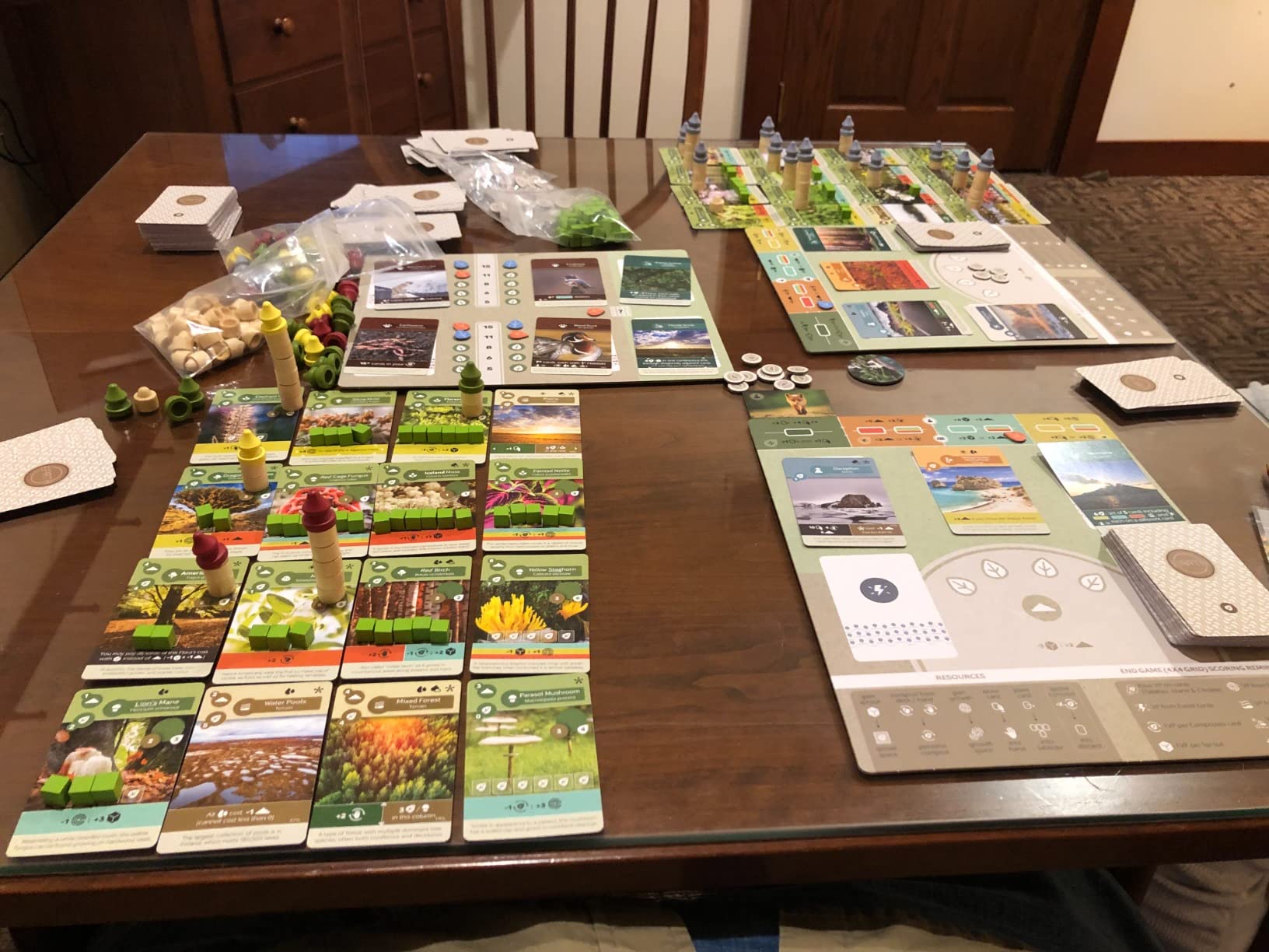 Inside Up Games Earth | Board Game of the Year 2023 | Ecosystem Building, Card Drafting, Action Selection | Create Amazing Natural Synergies | 1 to 5 Players | 45 to 90 Minute | Age 13+ customer photo 2
