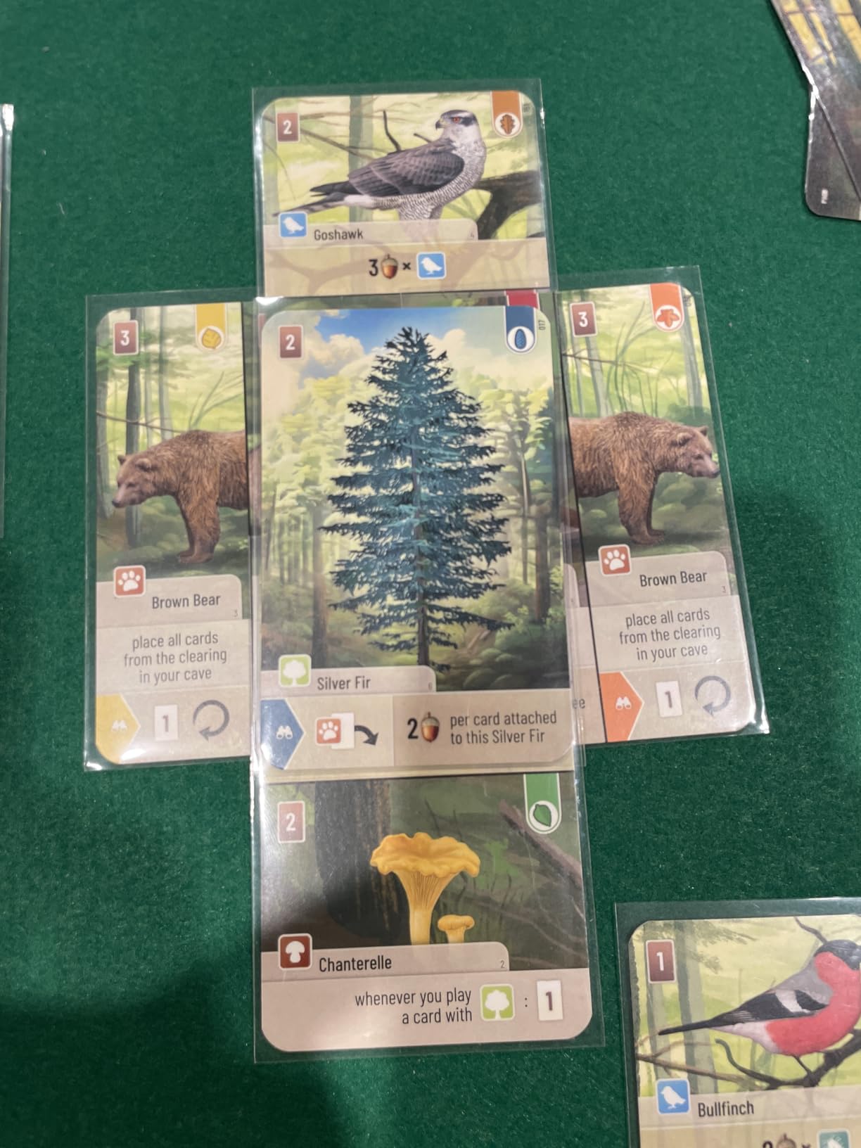 Lookout Games Forest Shuffle Card Game - Create an Ecological Paradise! Clever Strategy Game for Kids & Adults, Ages 10+, 2-5 Players, 60 Min Playtime, ECO-Friendly Packaging customer photo 2