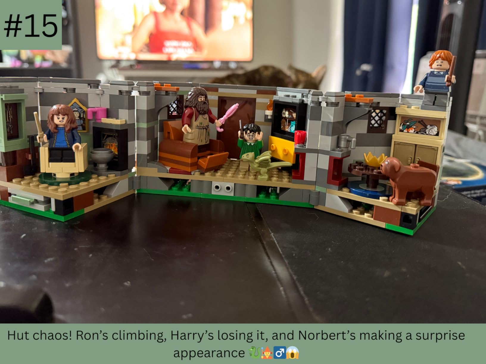 LEGO Harry Potter Hagrid's Hut: an Unexpected Visit - Harry Potter Toy for Boys & Girls Ages 8+ - Kids Building Toys W/Buildable House, 7 Minifigures & Dragon - 76428 customer photo 2